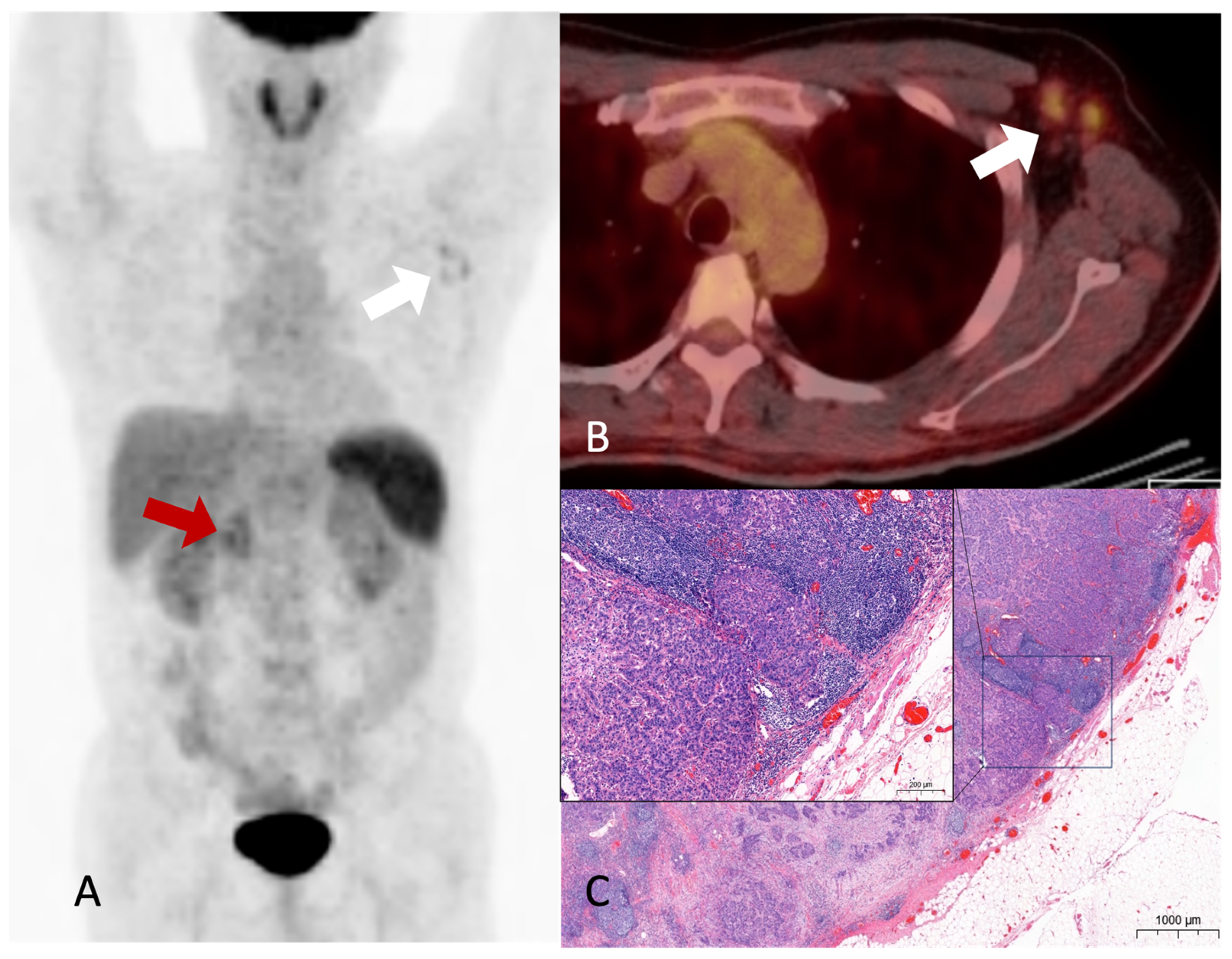 Diagnostics 13 03012 g002 Diagnostics 13 03012 g002