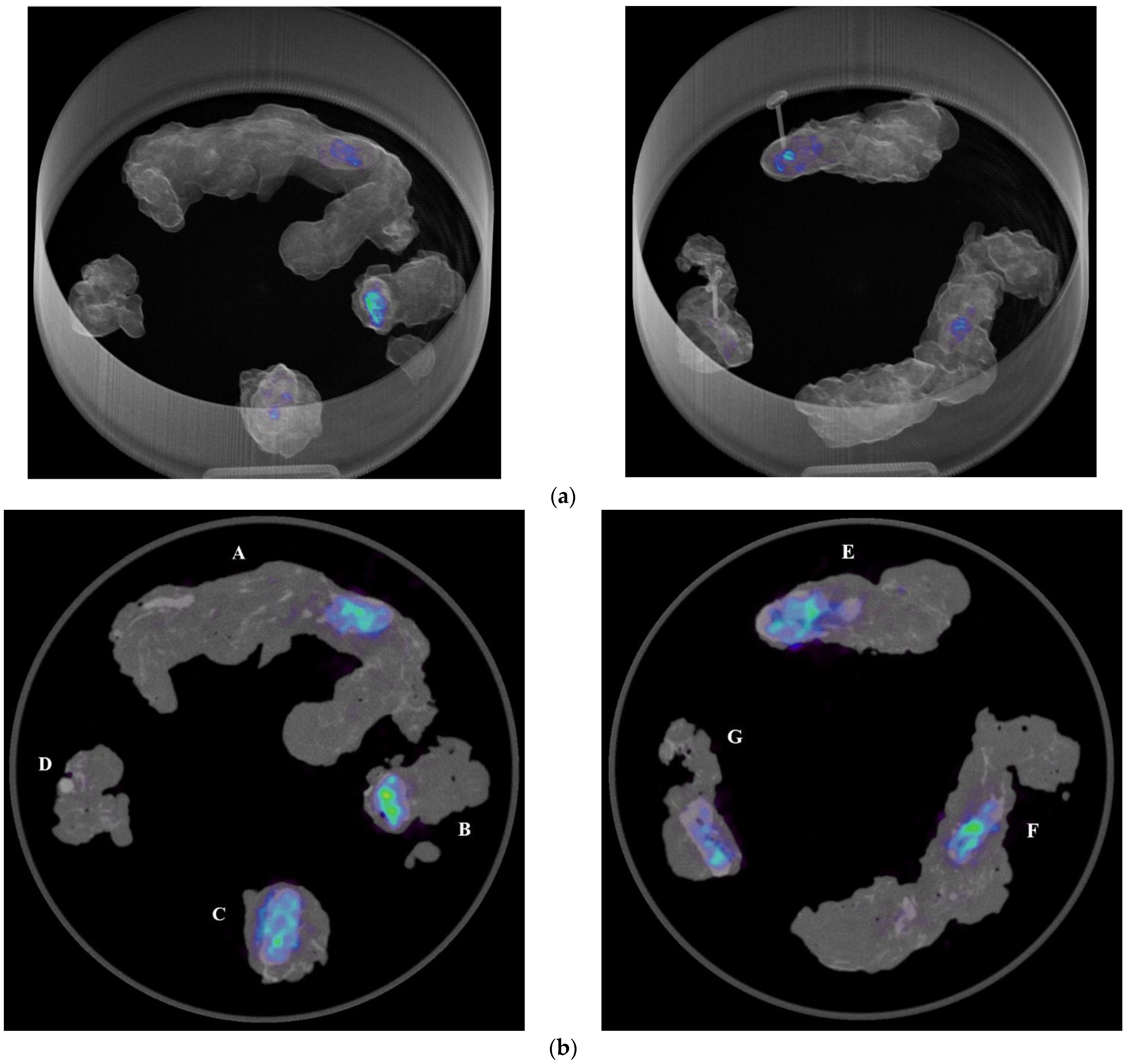 Diagnostics 13 03013 g001