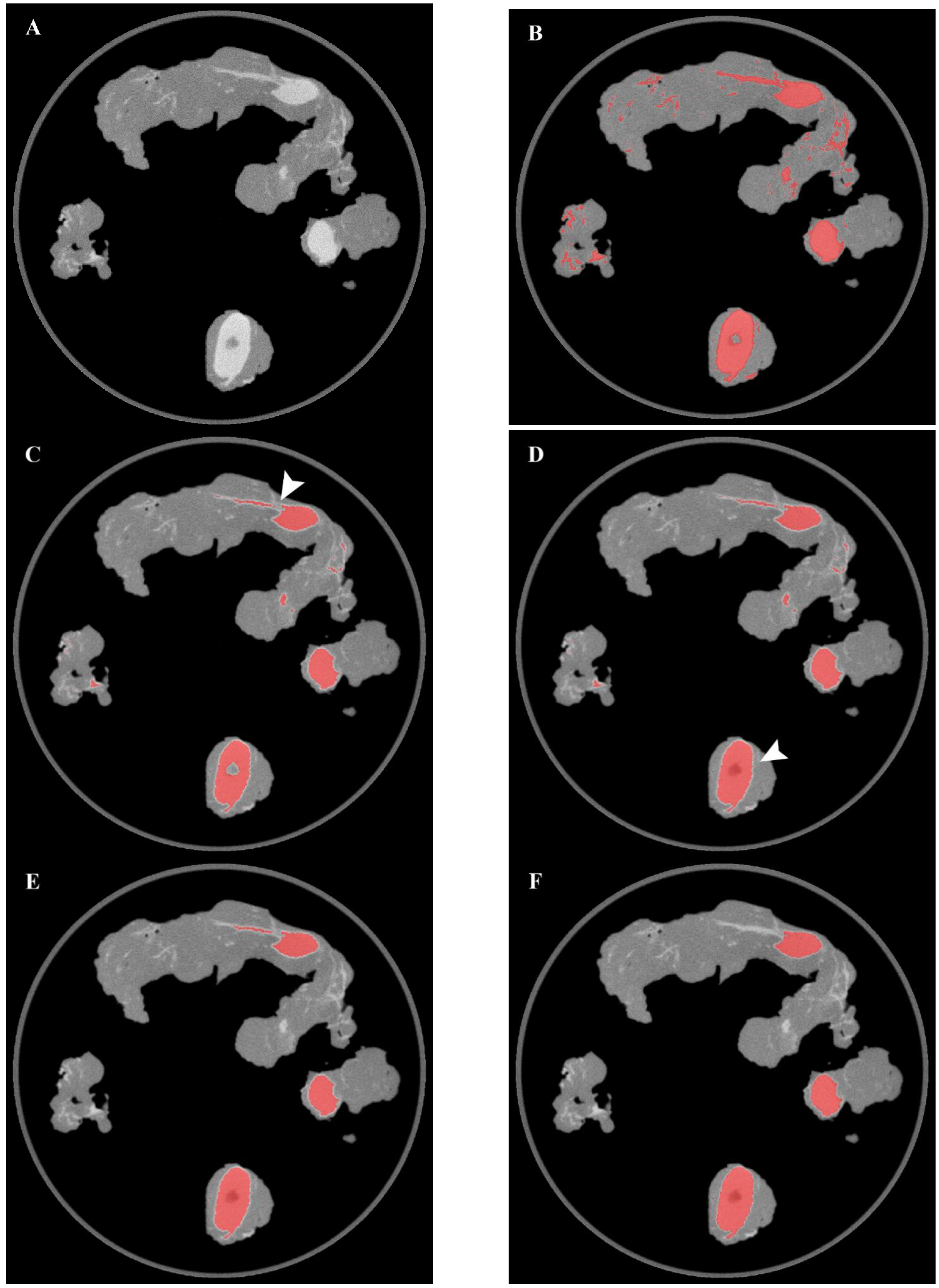 Diagnostics 13 03013 g002