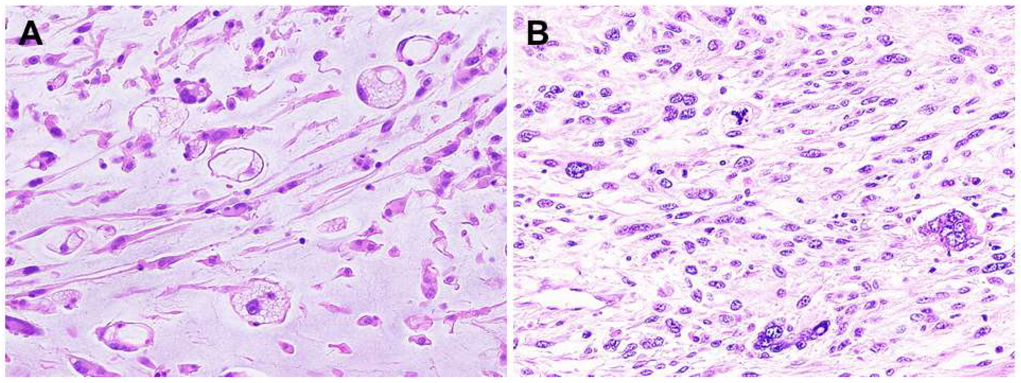 Diagnostics 13 03022 g004