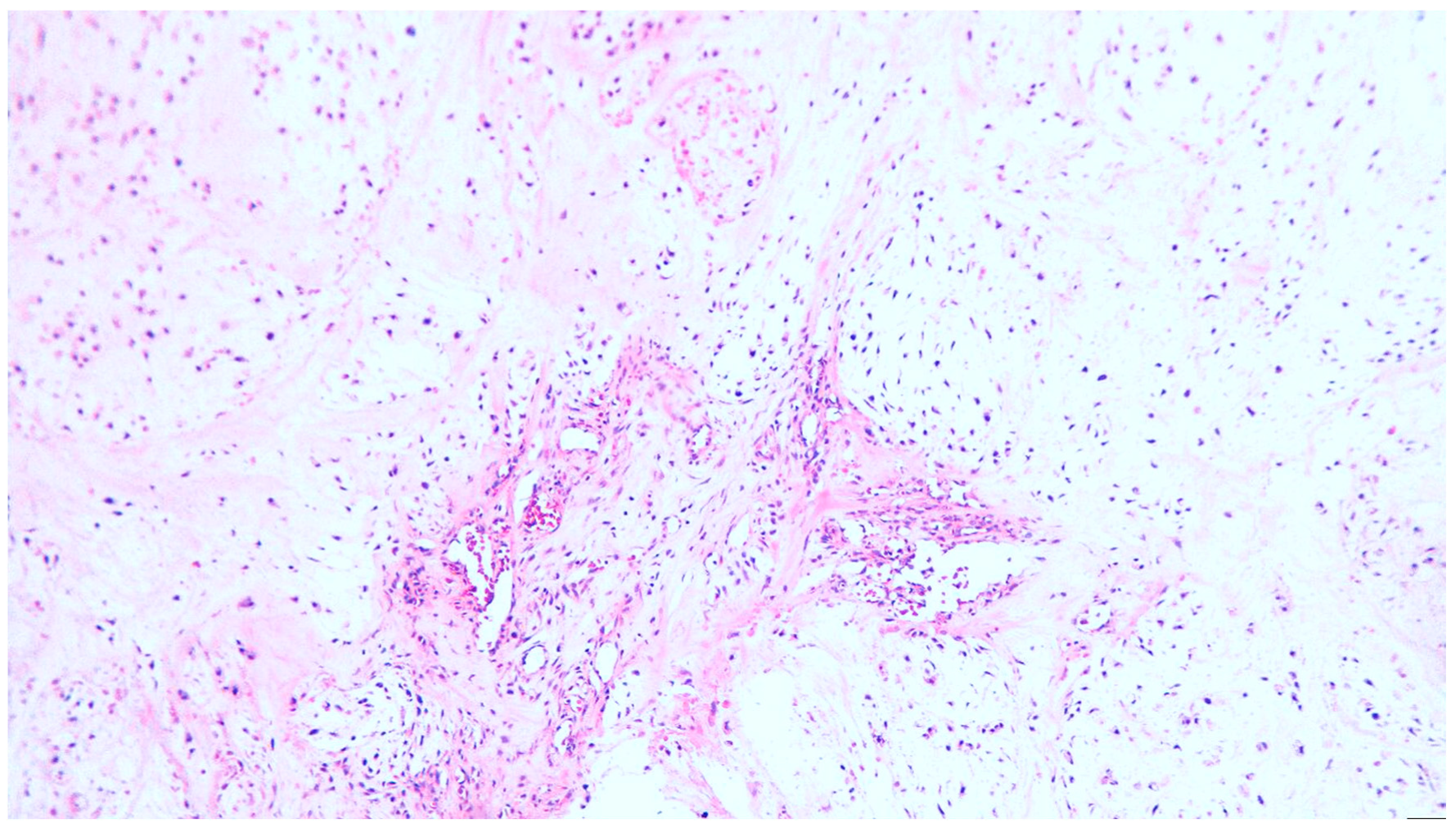 Diagnostics 13 03026 g001 Diagnostics 13 03026 g001