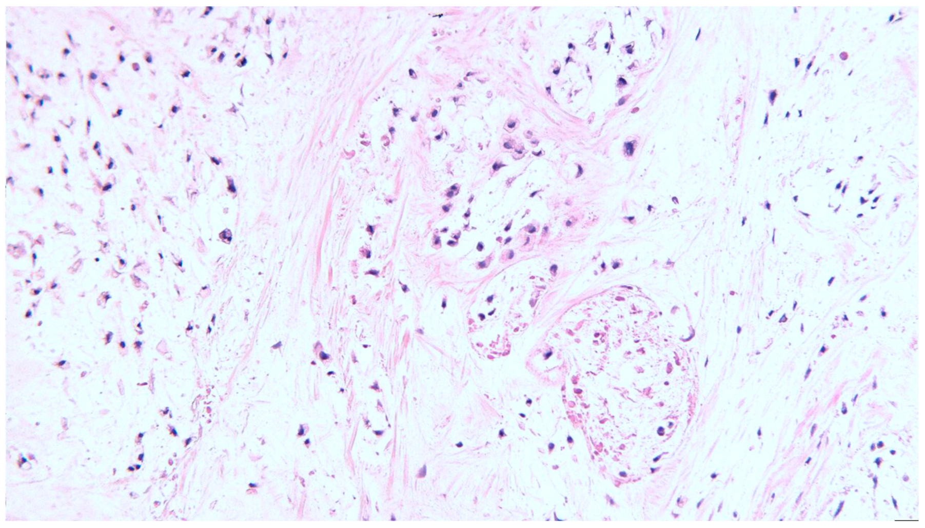 Diagnostics 13 03026 g002 Diagnostics 13 03026 g002