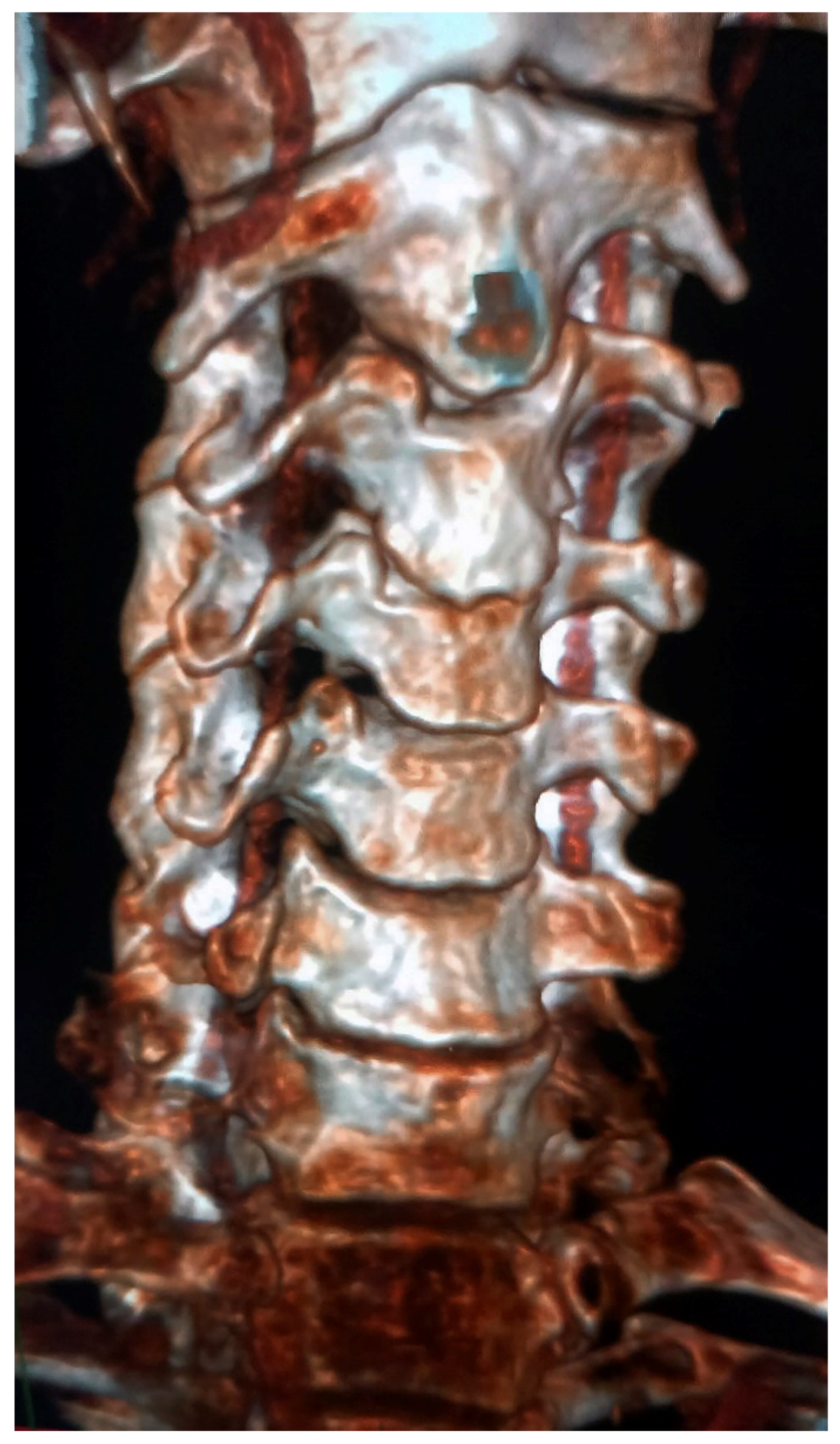 Diagnostics 13 03029 g001