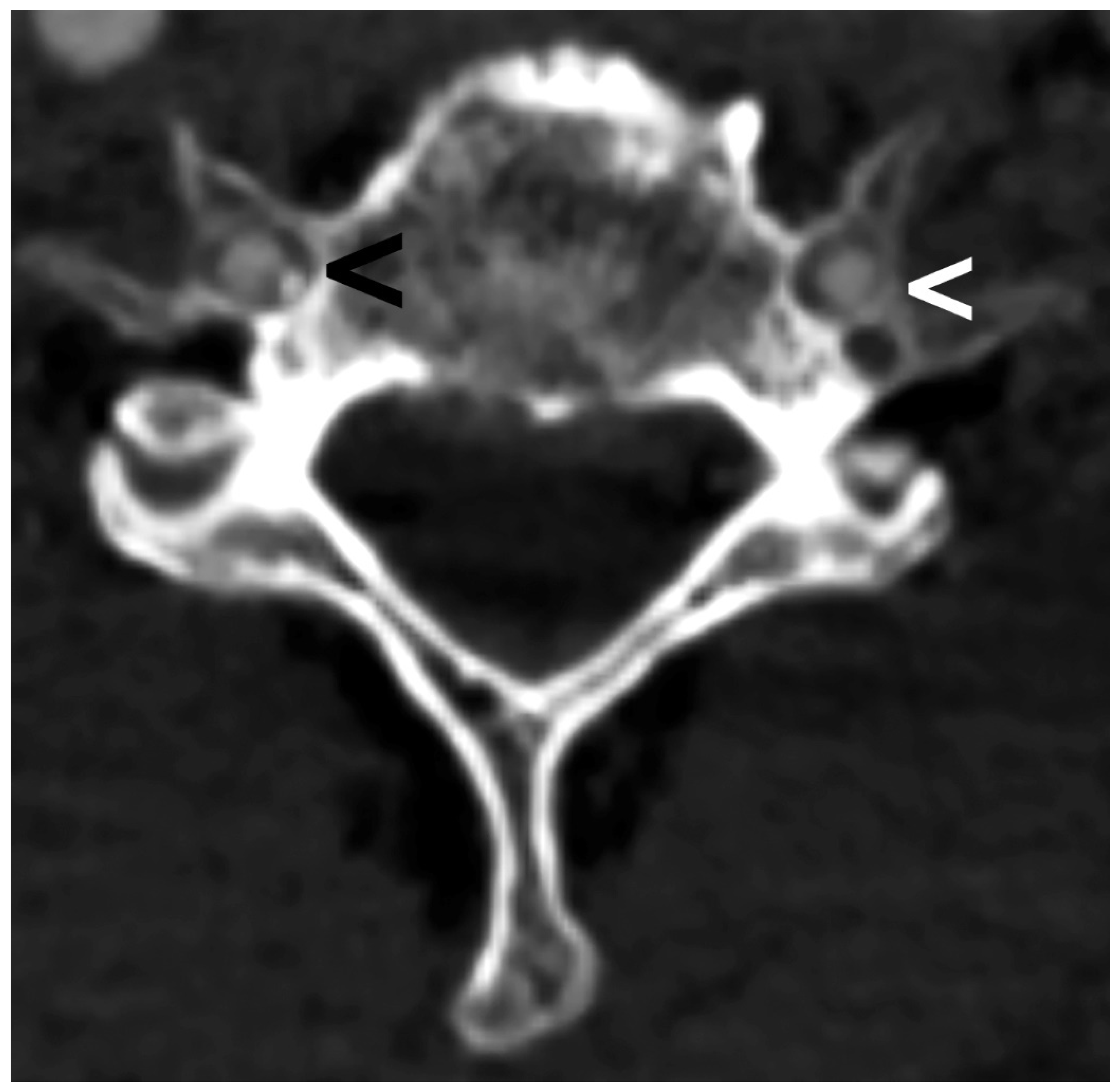 Diagnostics 13 03029 g002