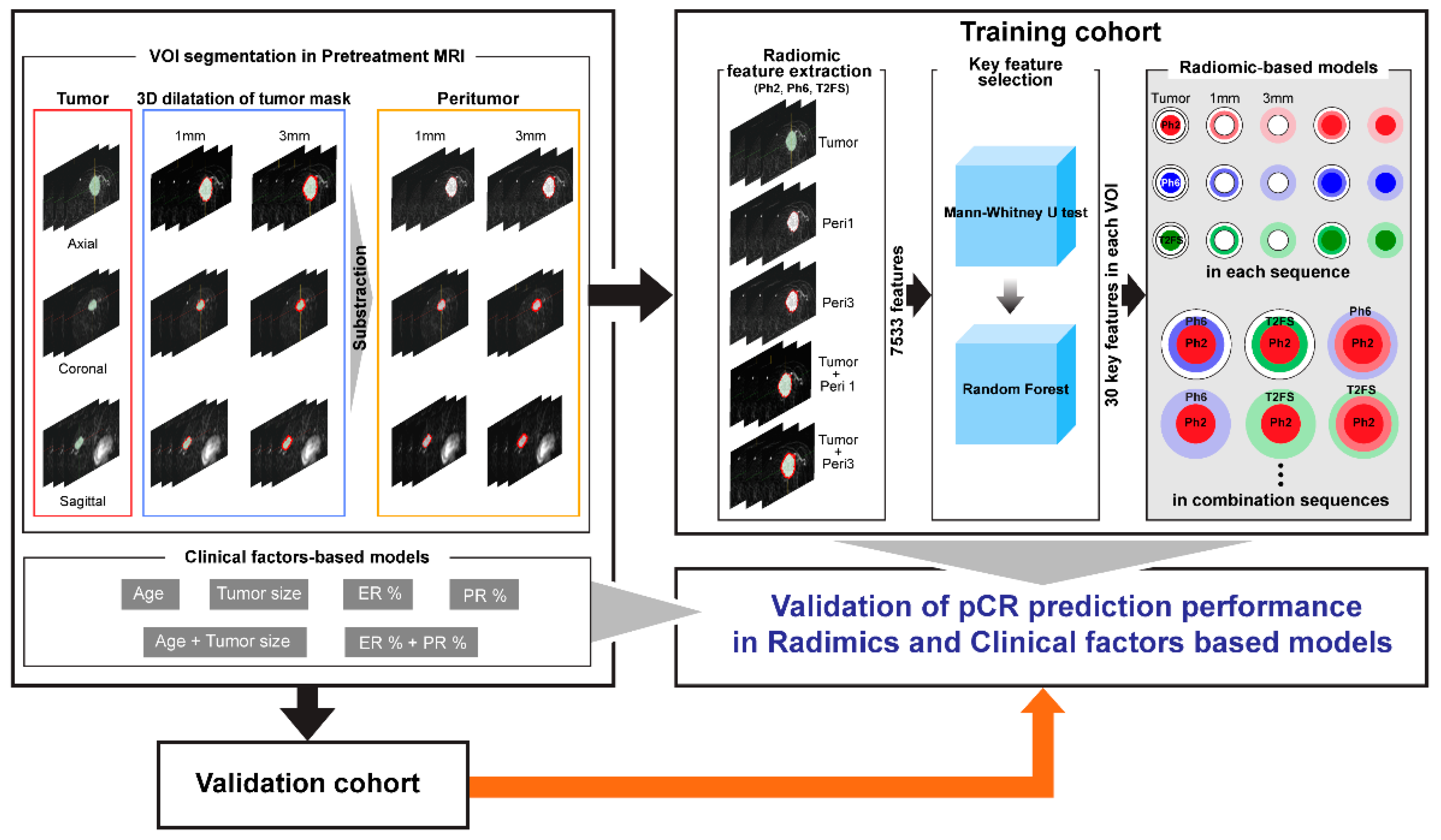 Diagnostics 13 03031 g003