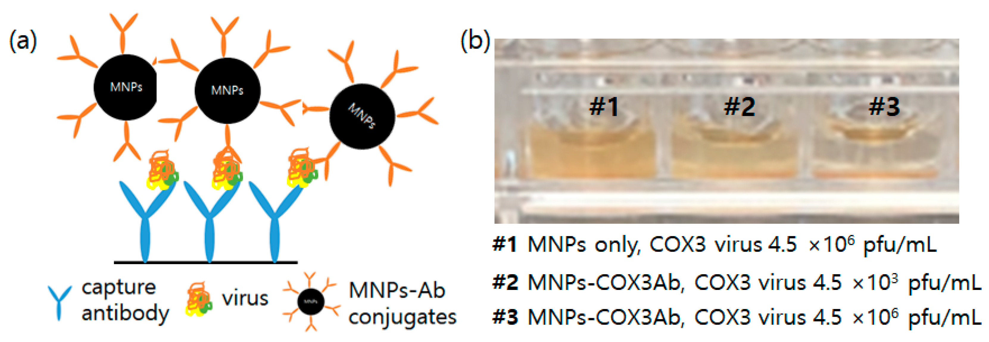 Diagnostics 13 03033 g003