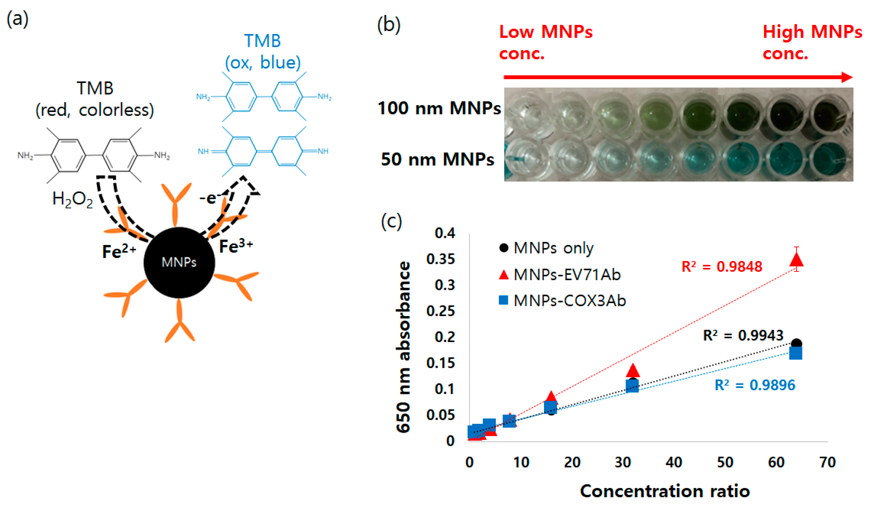 Diagnostics 13 03033 g004