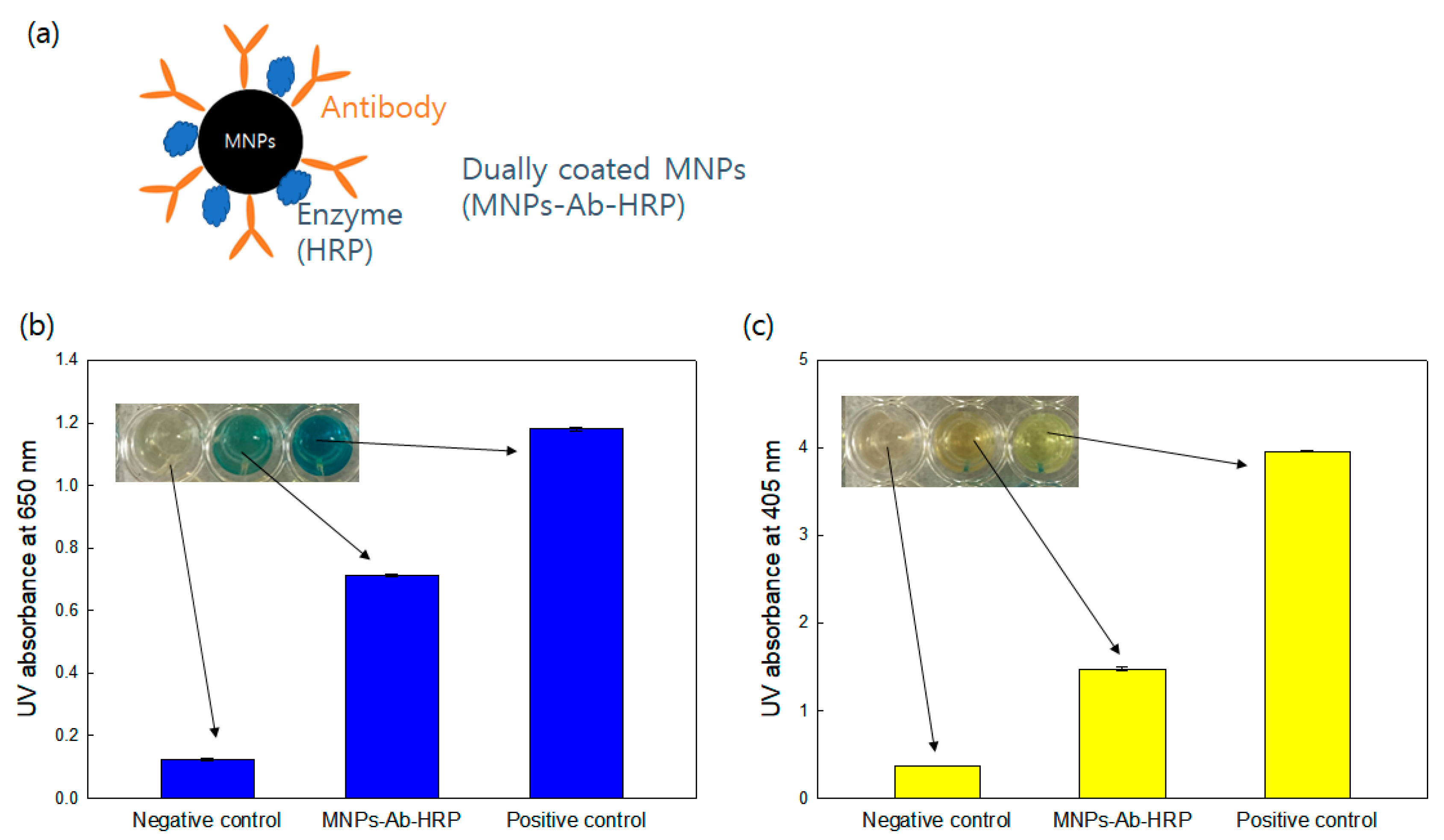 Diagnostics 13 03033 g005