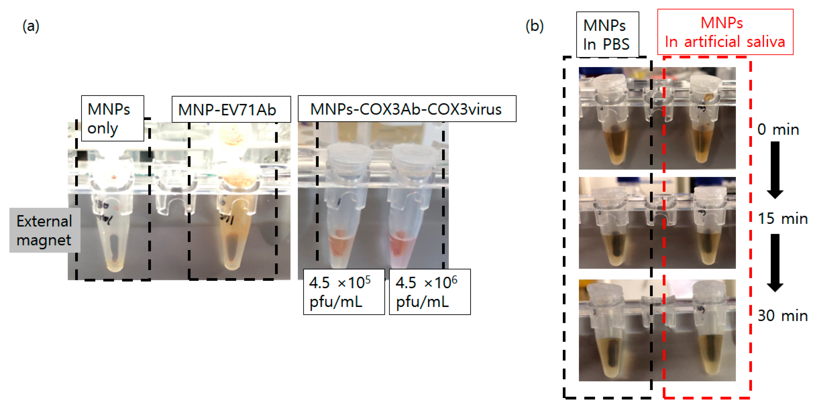 Diagnostics 13 03033 g006