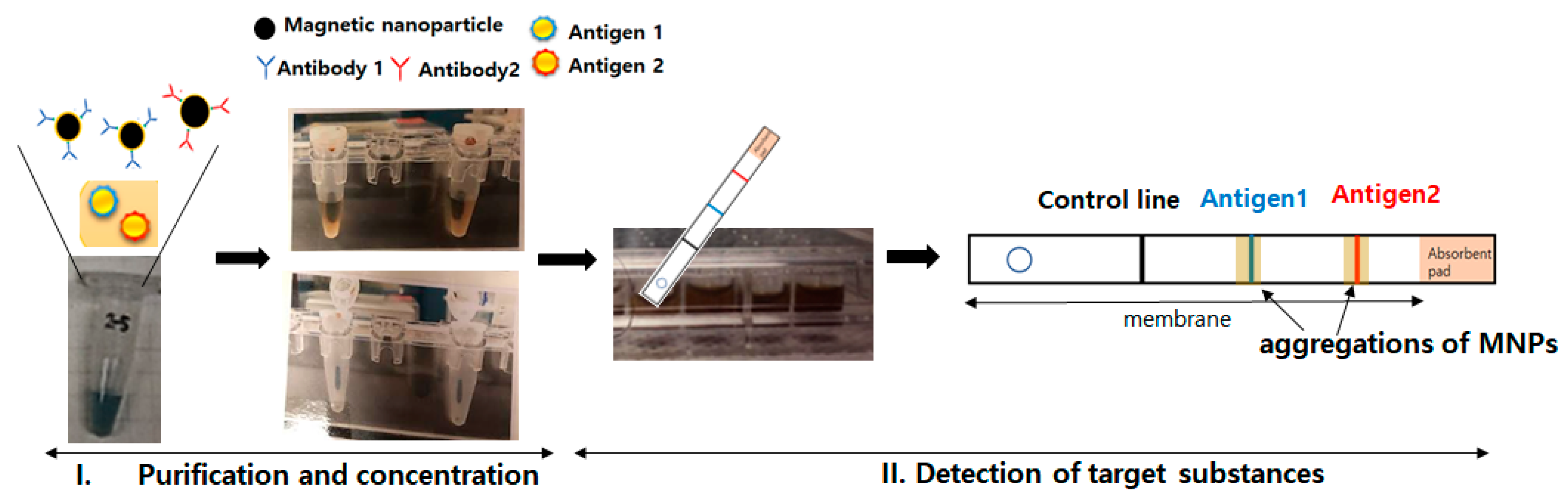 Diagnostics 13 03033 g007