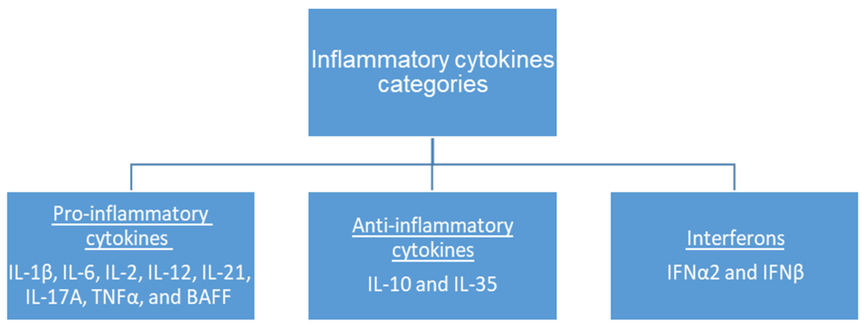 Diagnostics 13 03036 g001