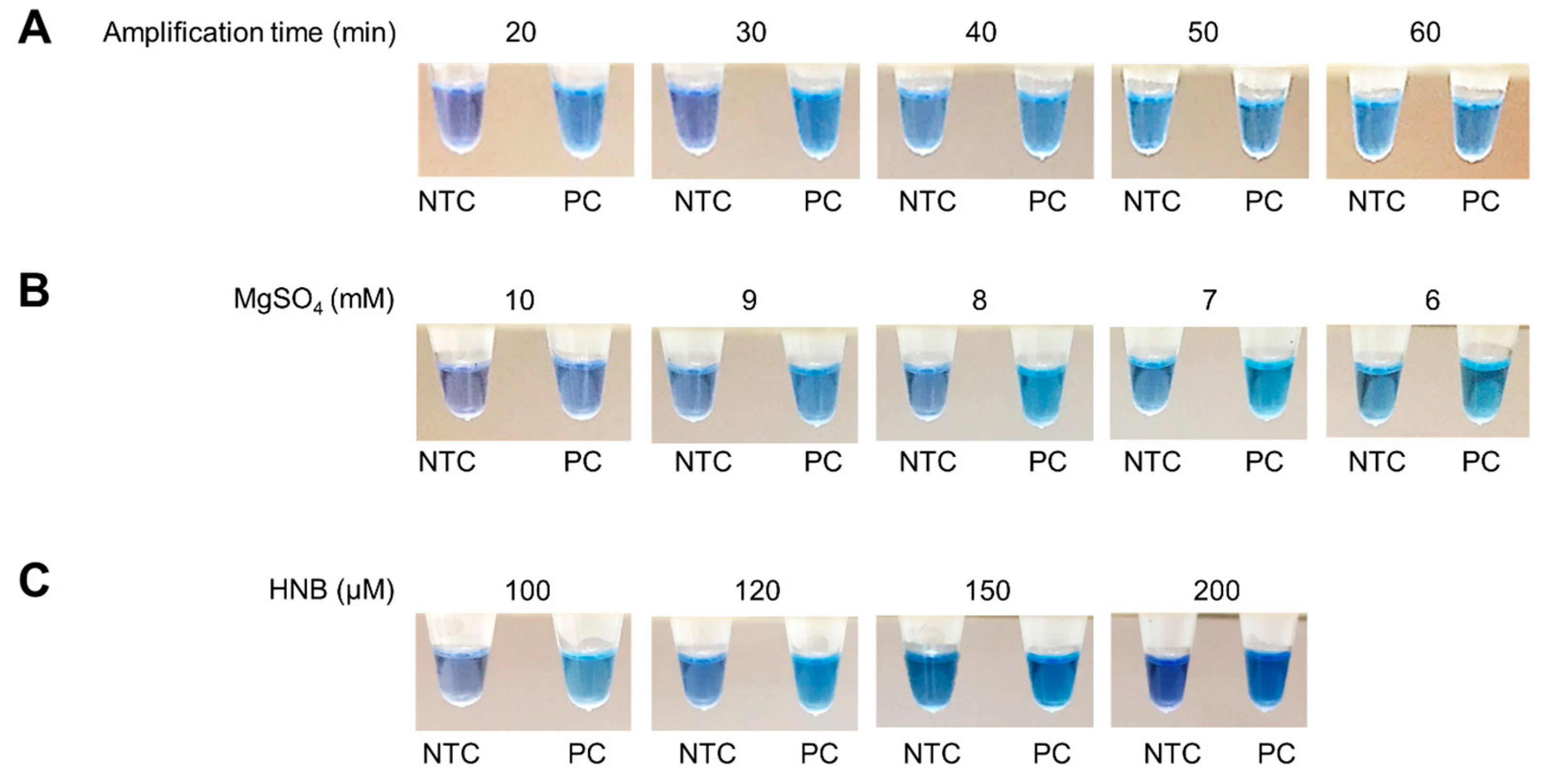 Diagnostics 13 03040 g001