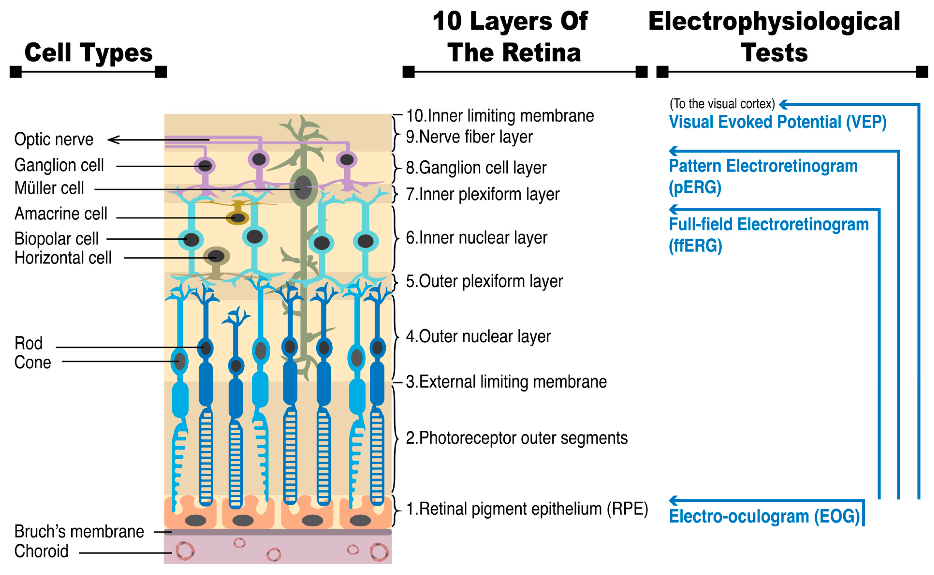 Diagnostics 13 03041 g001 Diagnostics 13 03041 g001