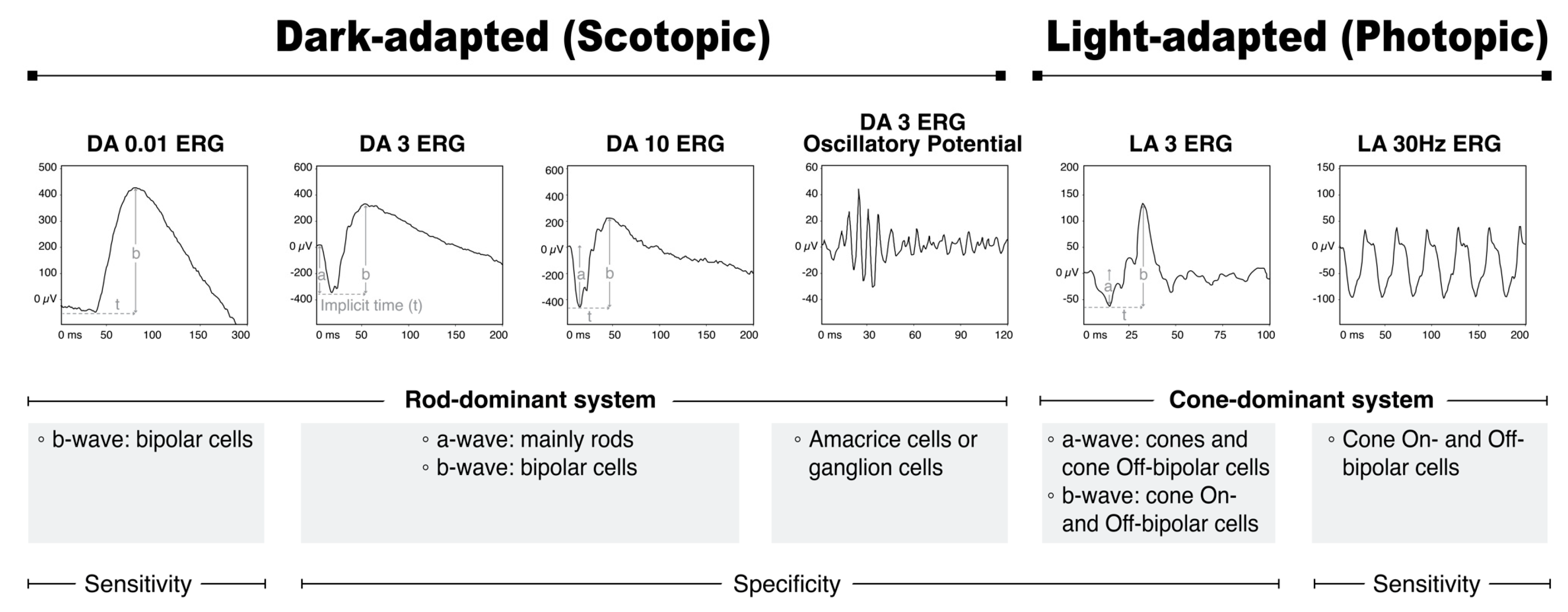 Diagnostics 13 03041 g003 Diagnostics 13 03041 g003