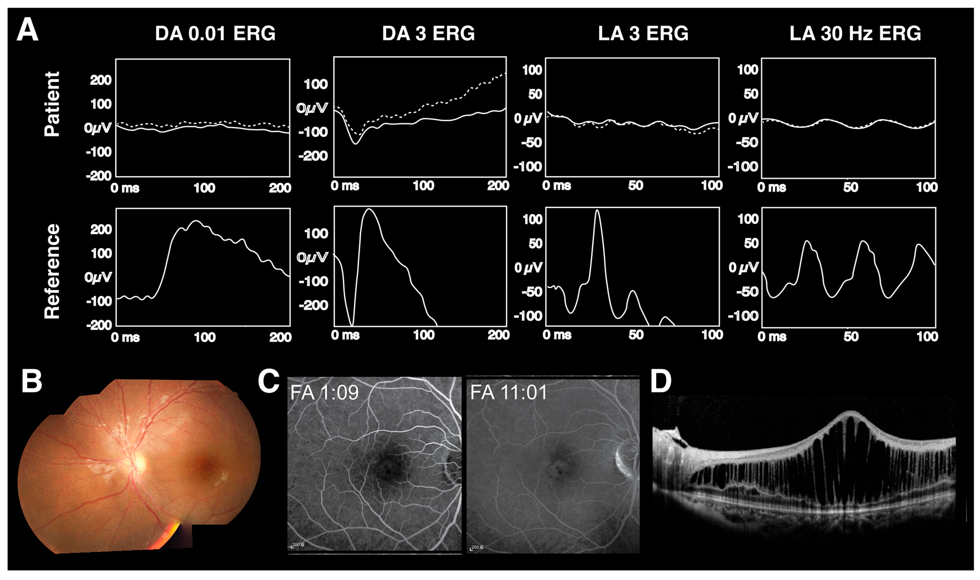 Diagnostics 13 03041 g005 Diagnostics 13 03041 g005
