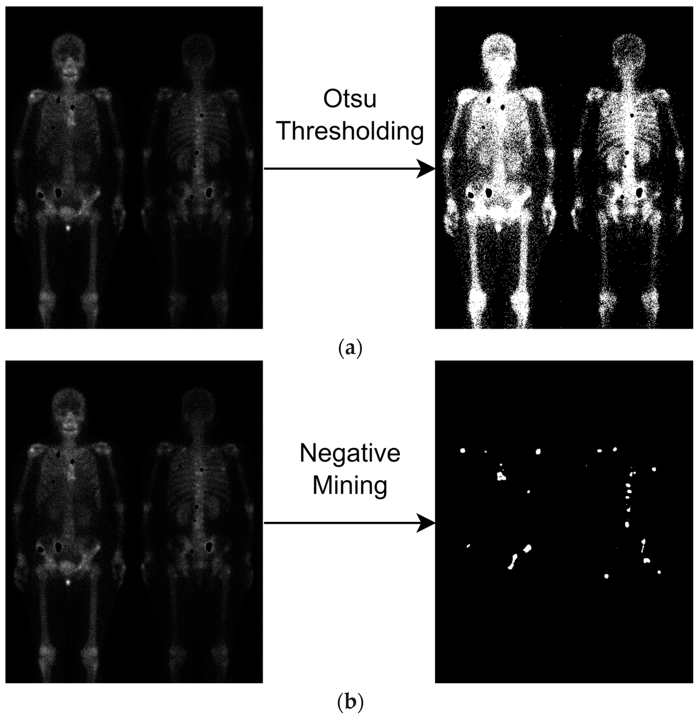 Diagnostics 13 03042 g005