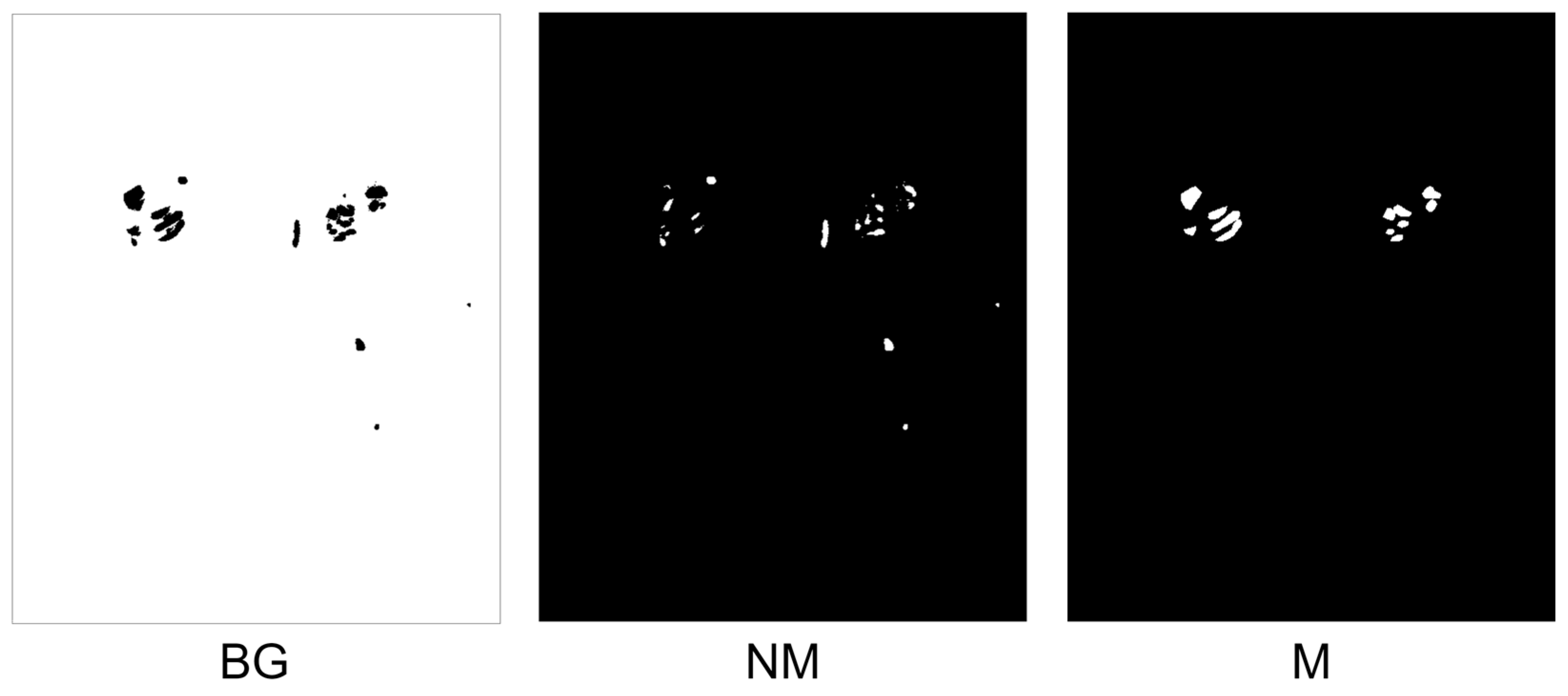Diagnostics 13 03042 g009