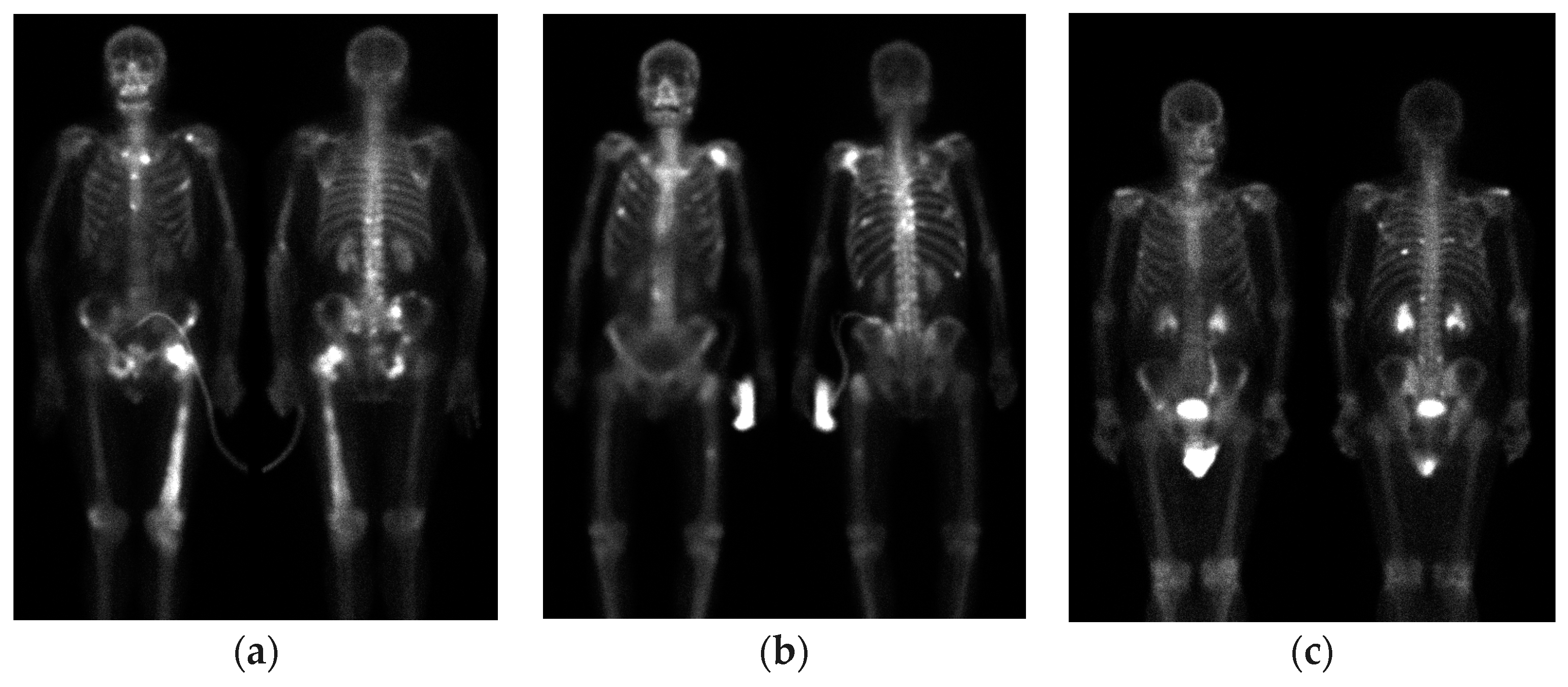 Diagnostics 13 03042 g013