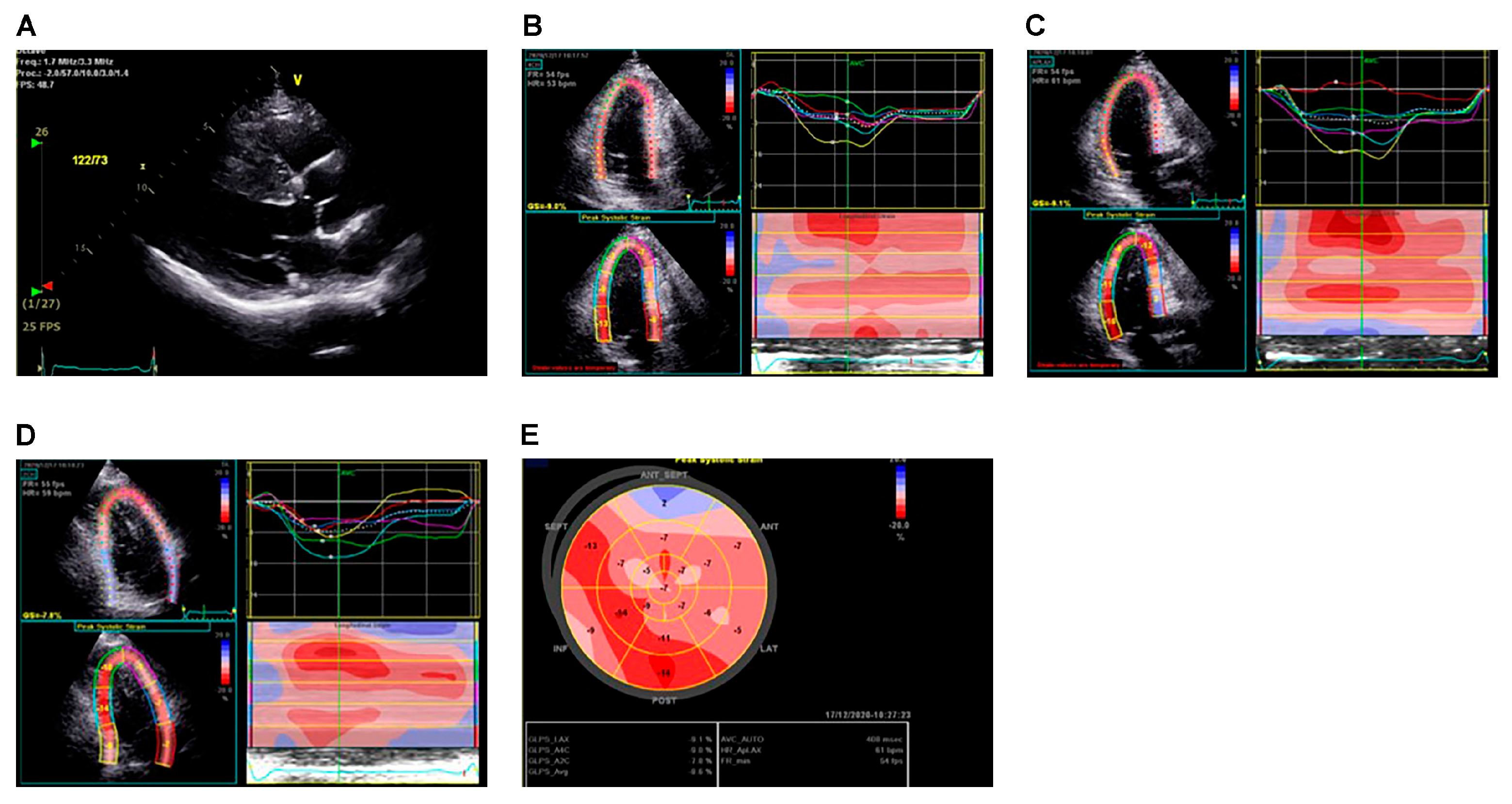Diagnostics 13 03049 g002