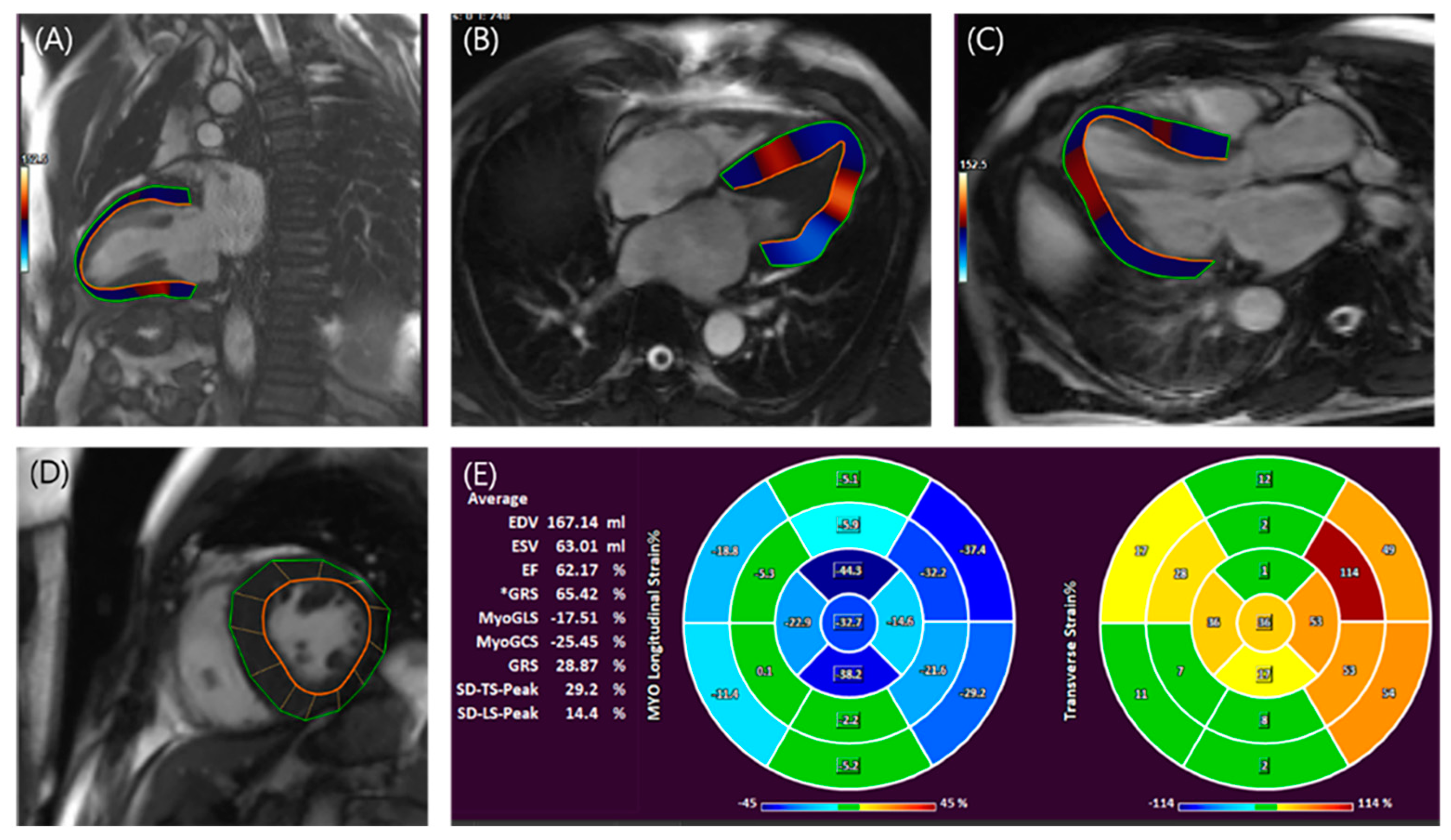 Diagnostics 13 03049 g004