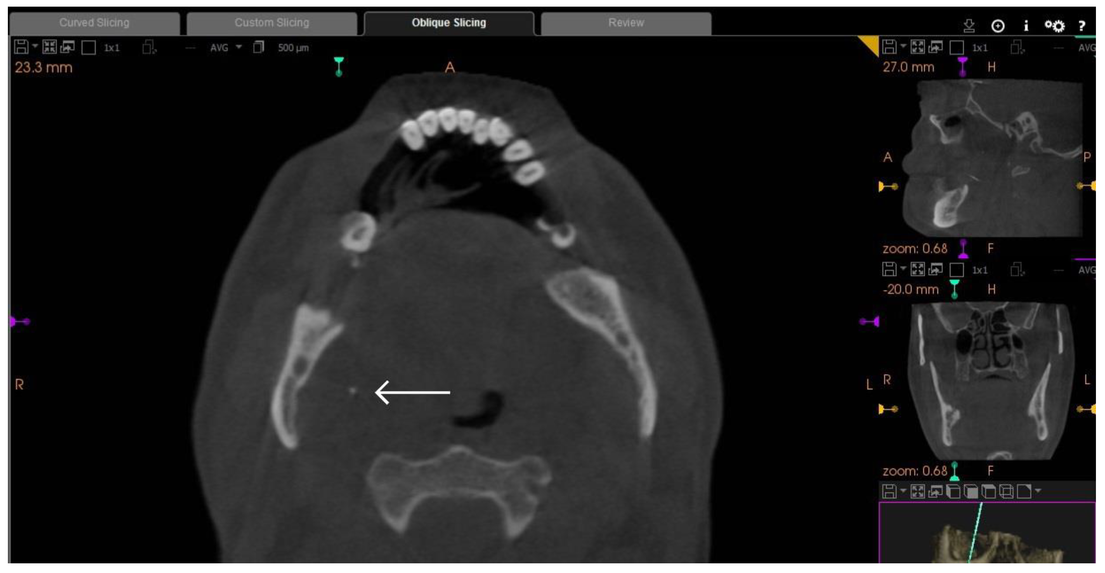 Diagnostics 13 03050 g001