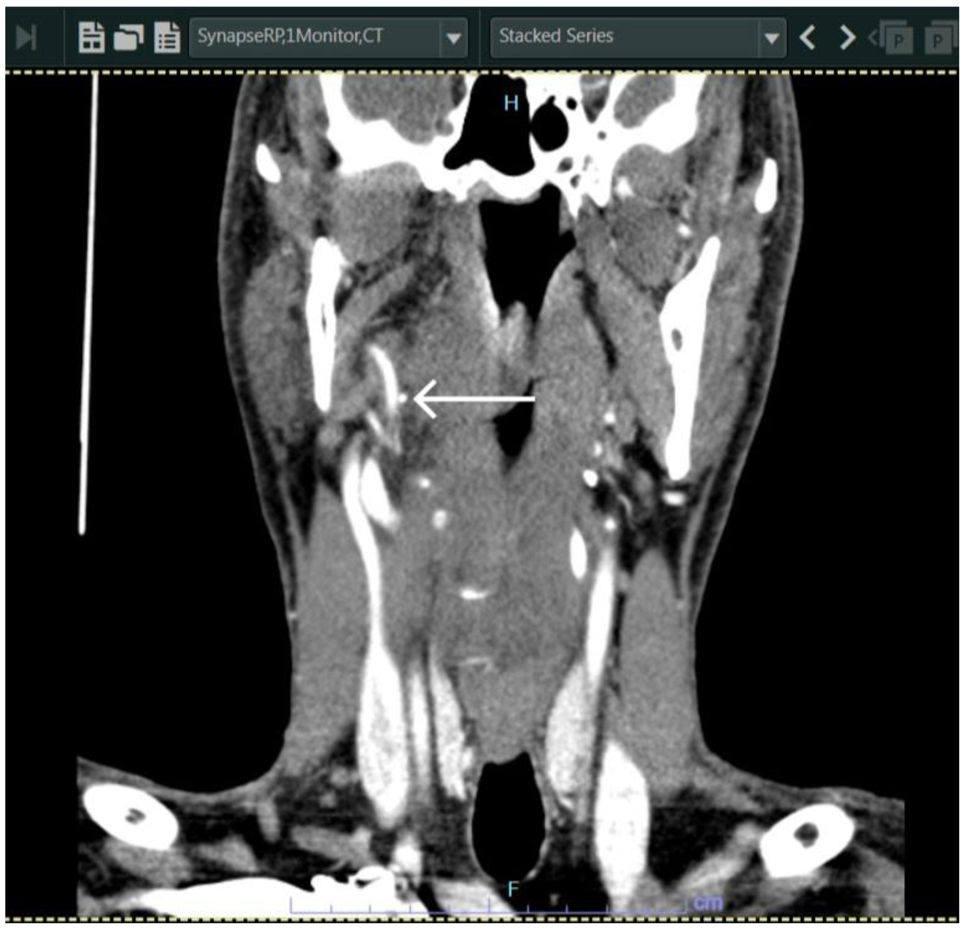 Diagnostics 13 03050 g003