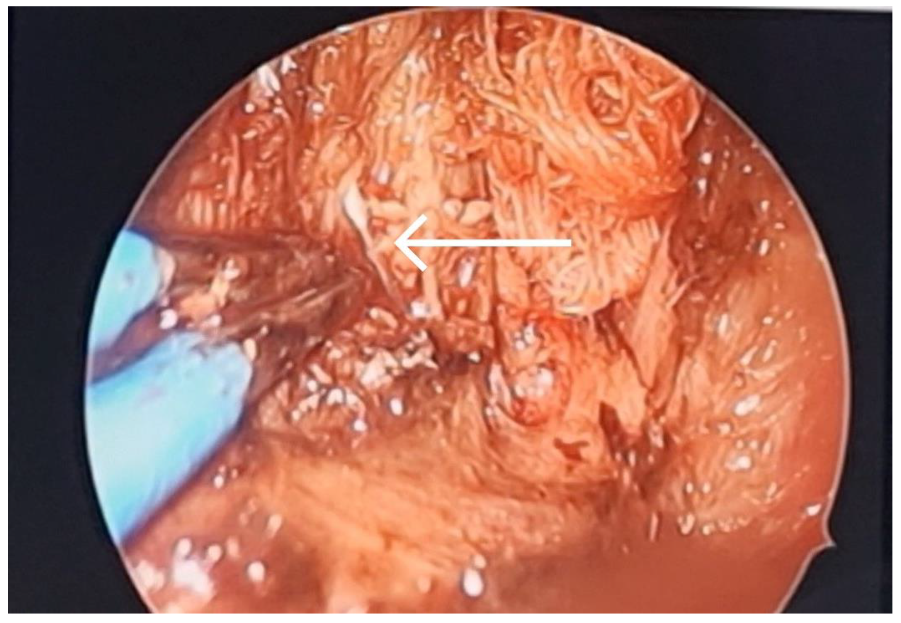 Diagnostics 13 03050 g005