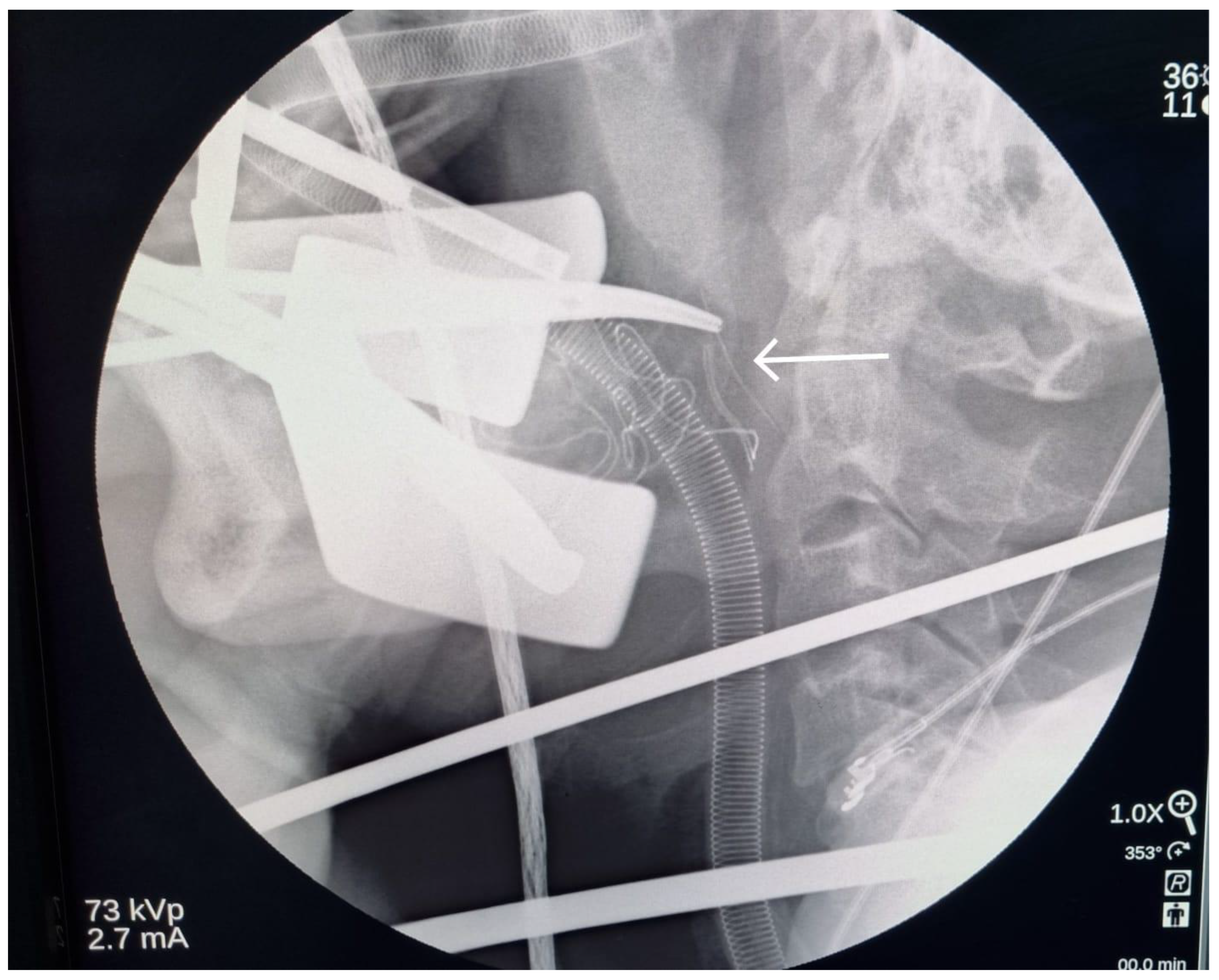 Diagnostics 13 03050 g006