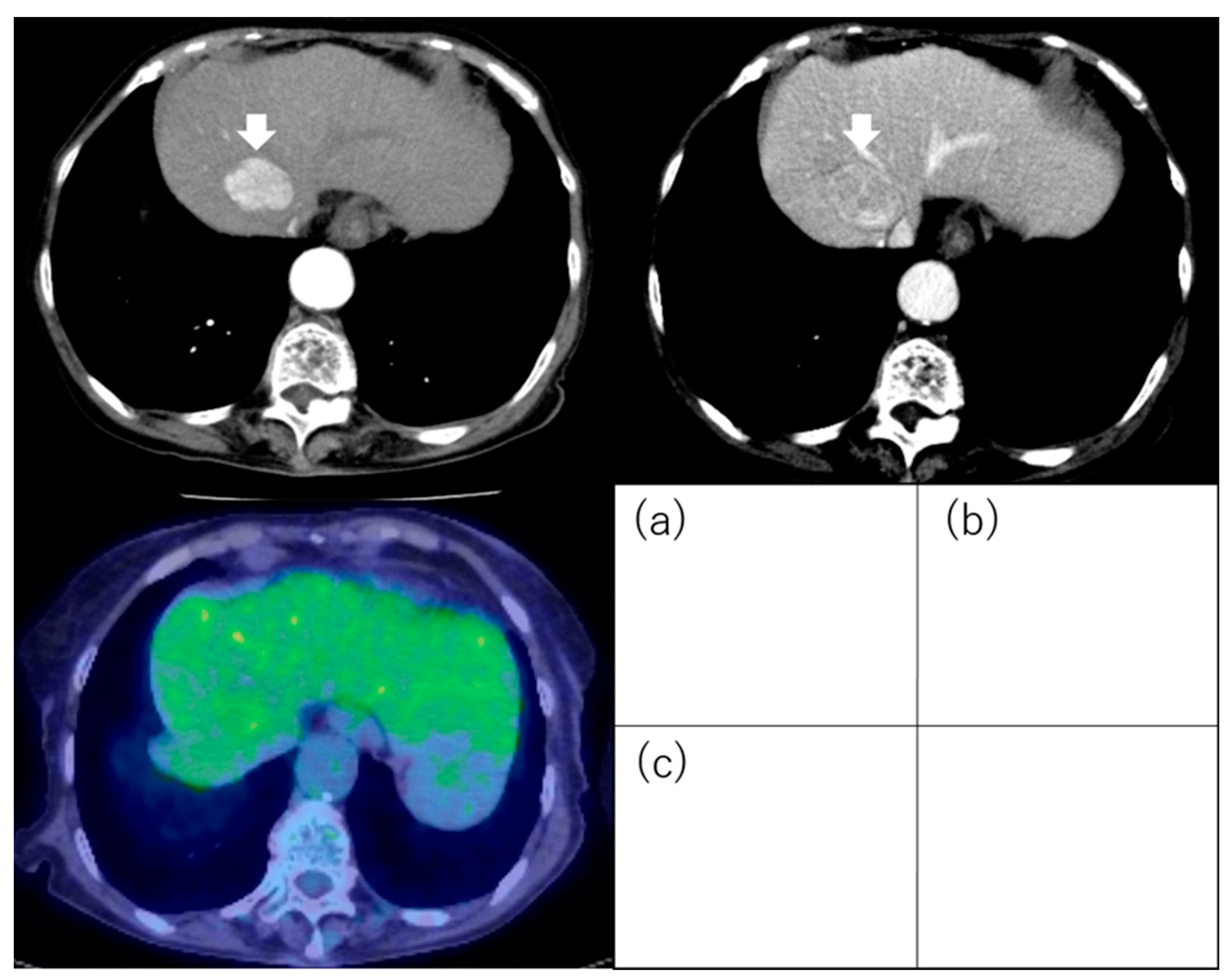 Diagnostics 13 03058 g008