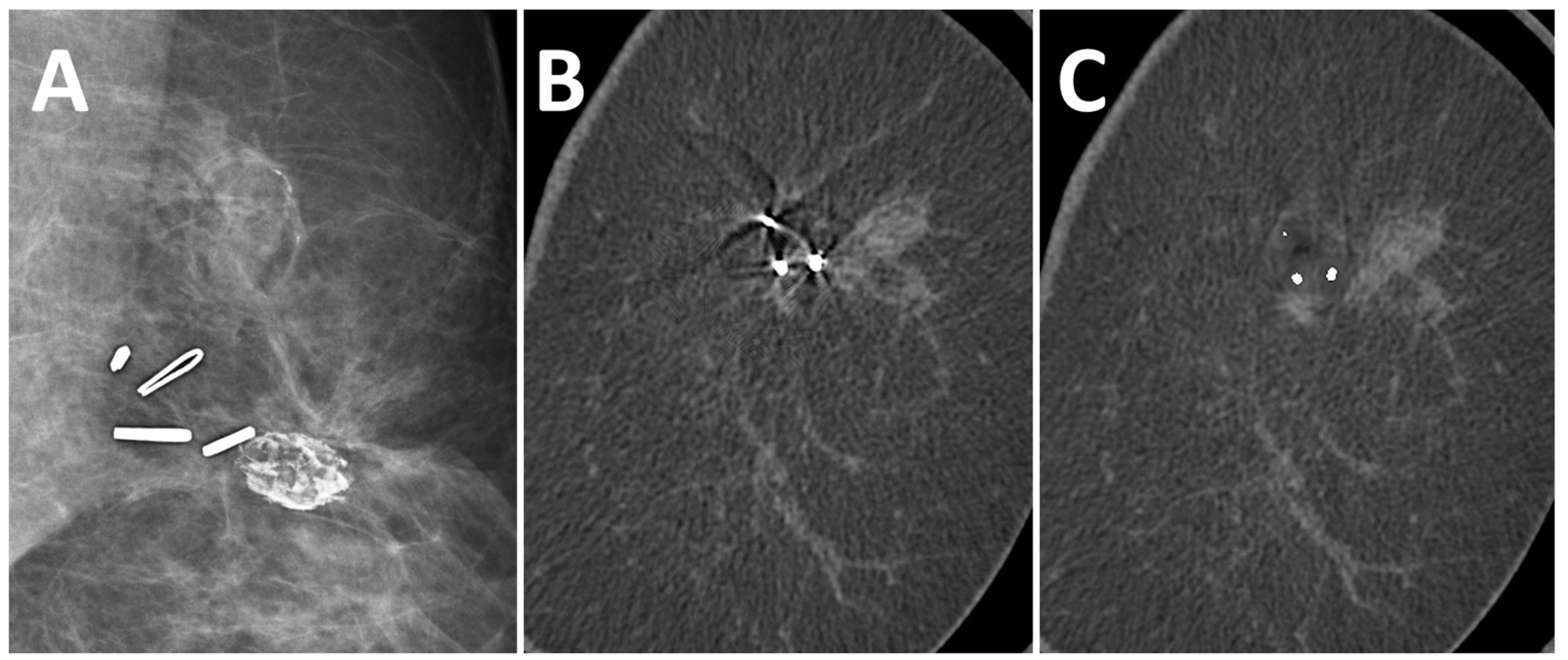 Diagnostics 13 03062 g003