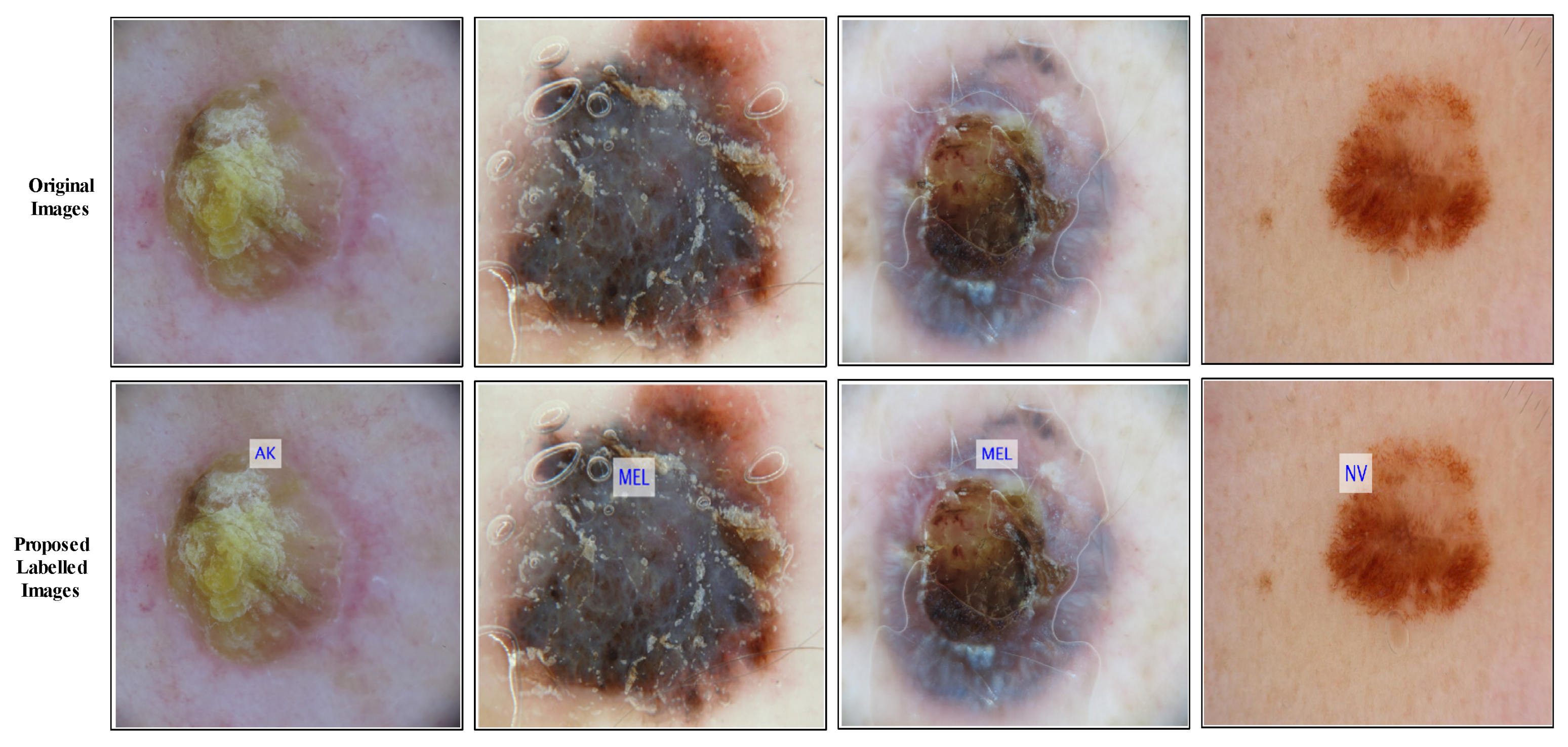 Diagnostics 13 03063 g010