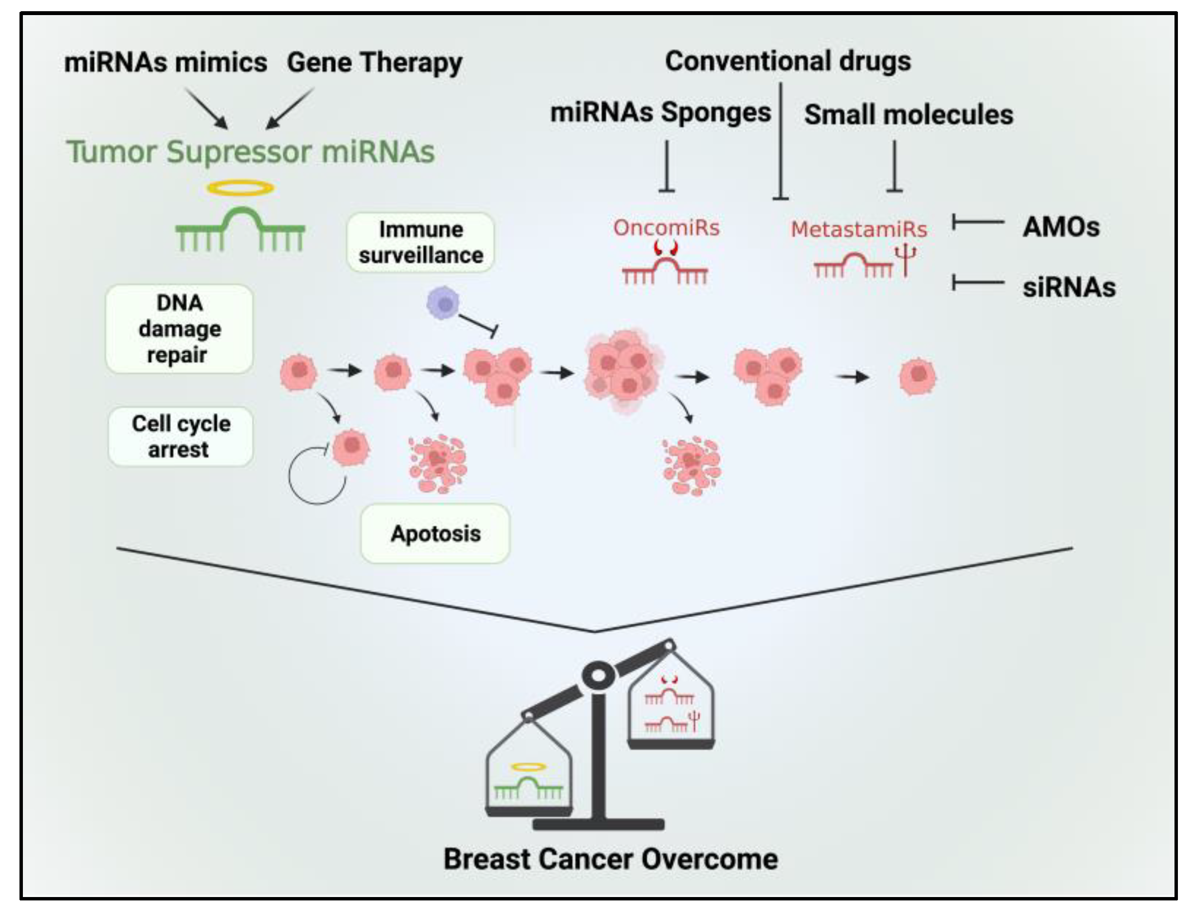 Diagnostics 13 03072 g002