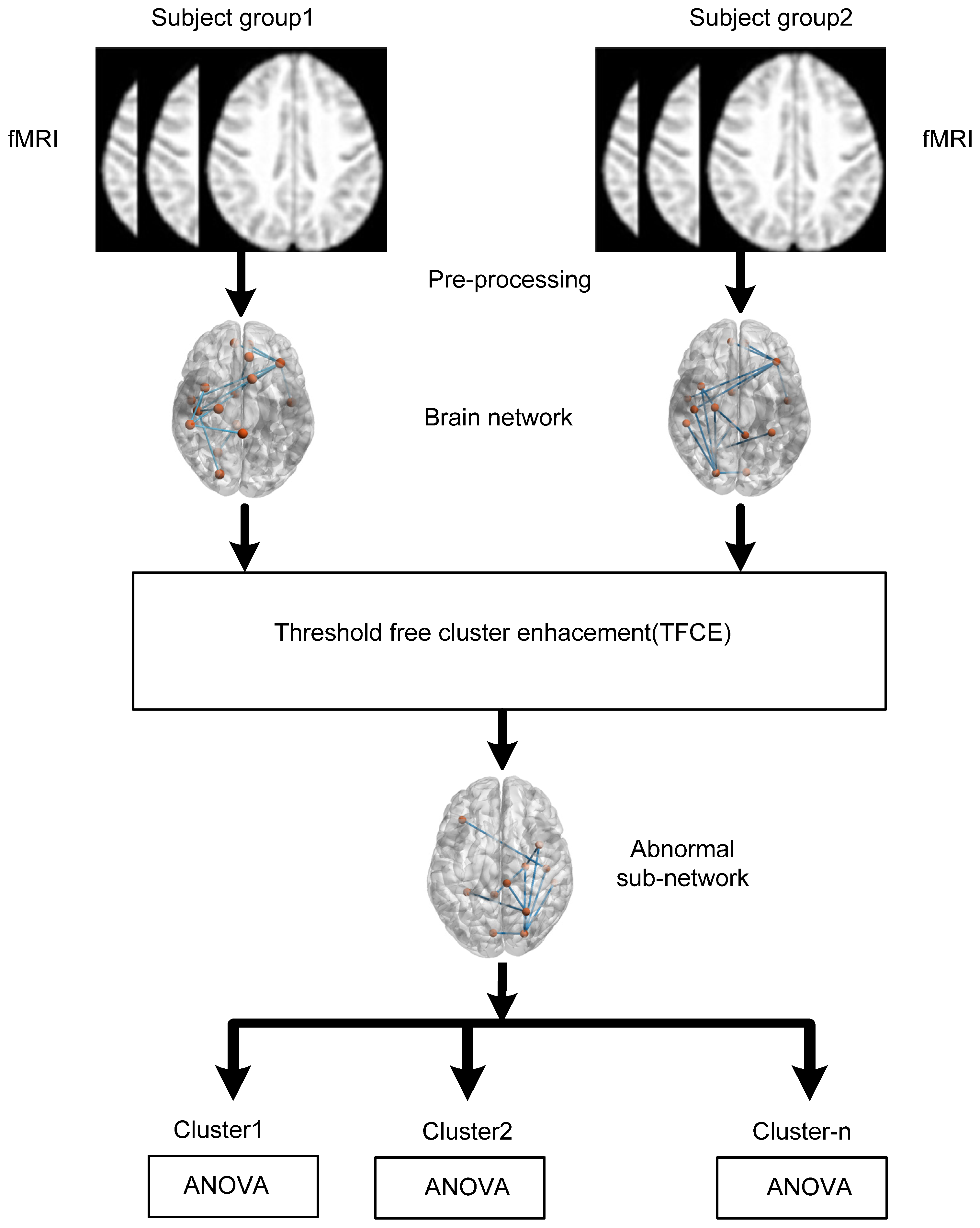 Diagnostics 13 03074 g001