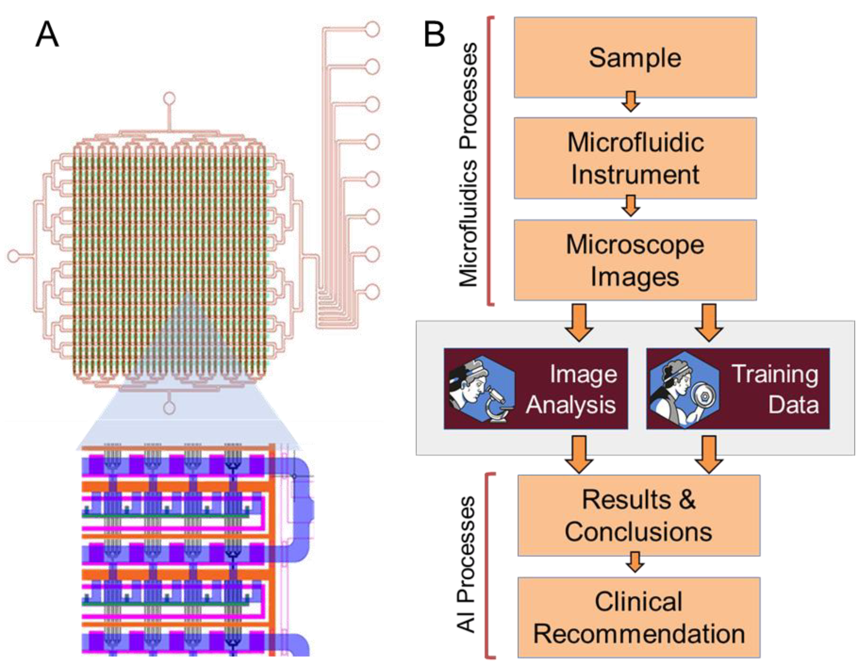 Diagnostics 13 03075 g001
