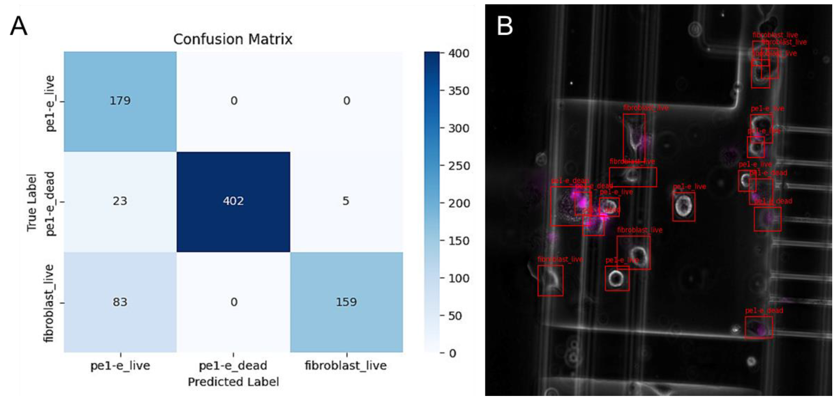 Diagnostics 13 03075 g004
