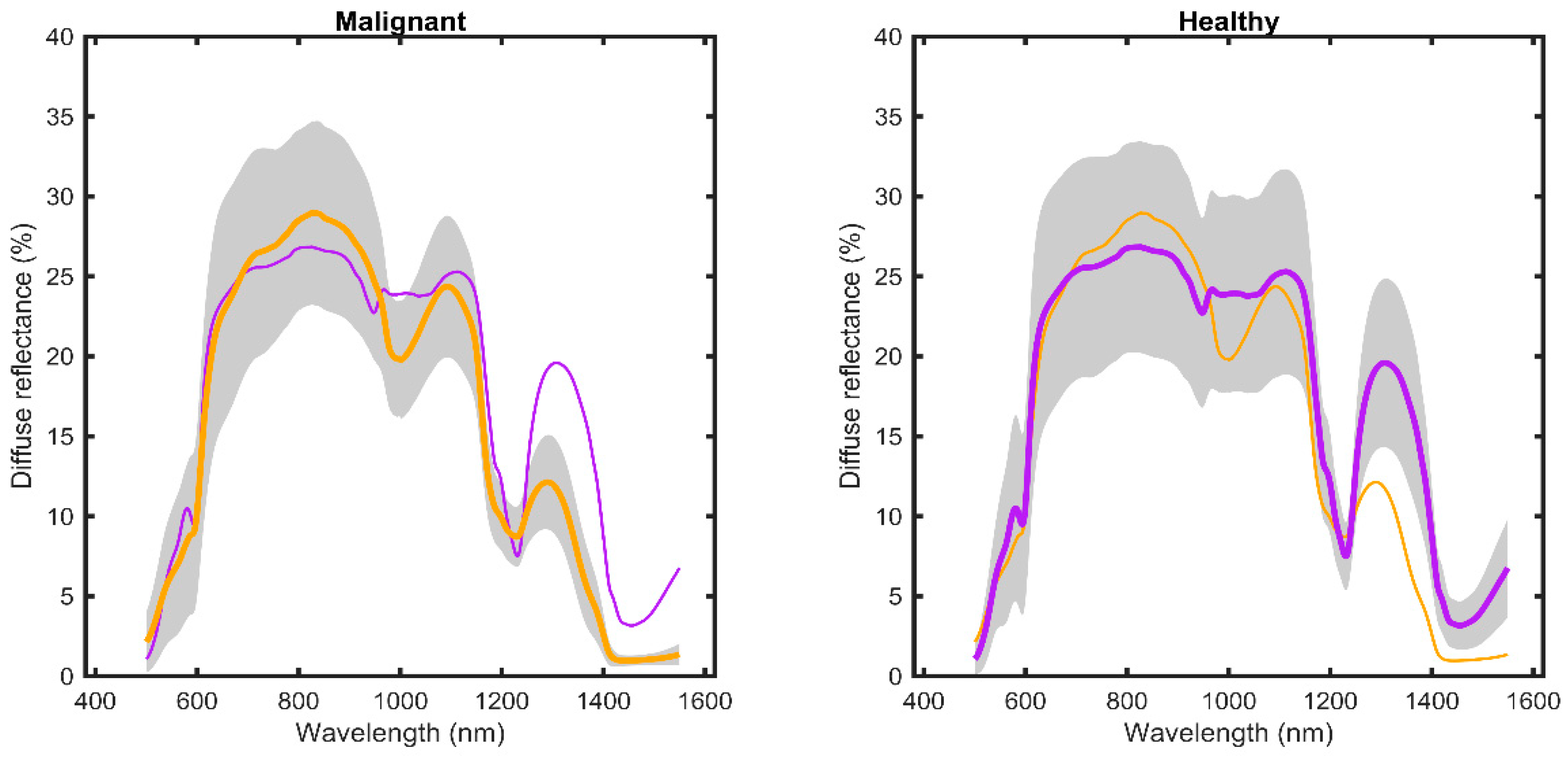 Diagnostics 13 03076 g003