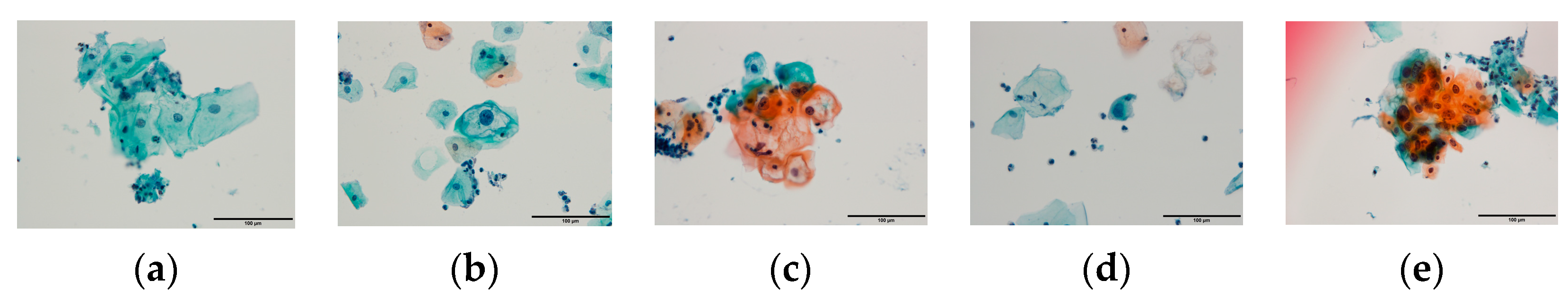 Diagnostics 13 03079 g001