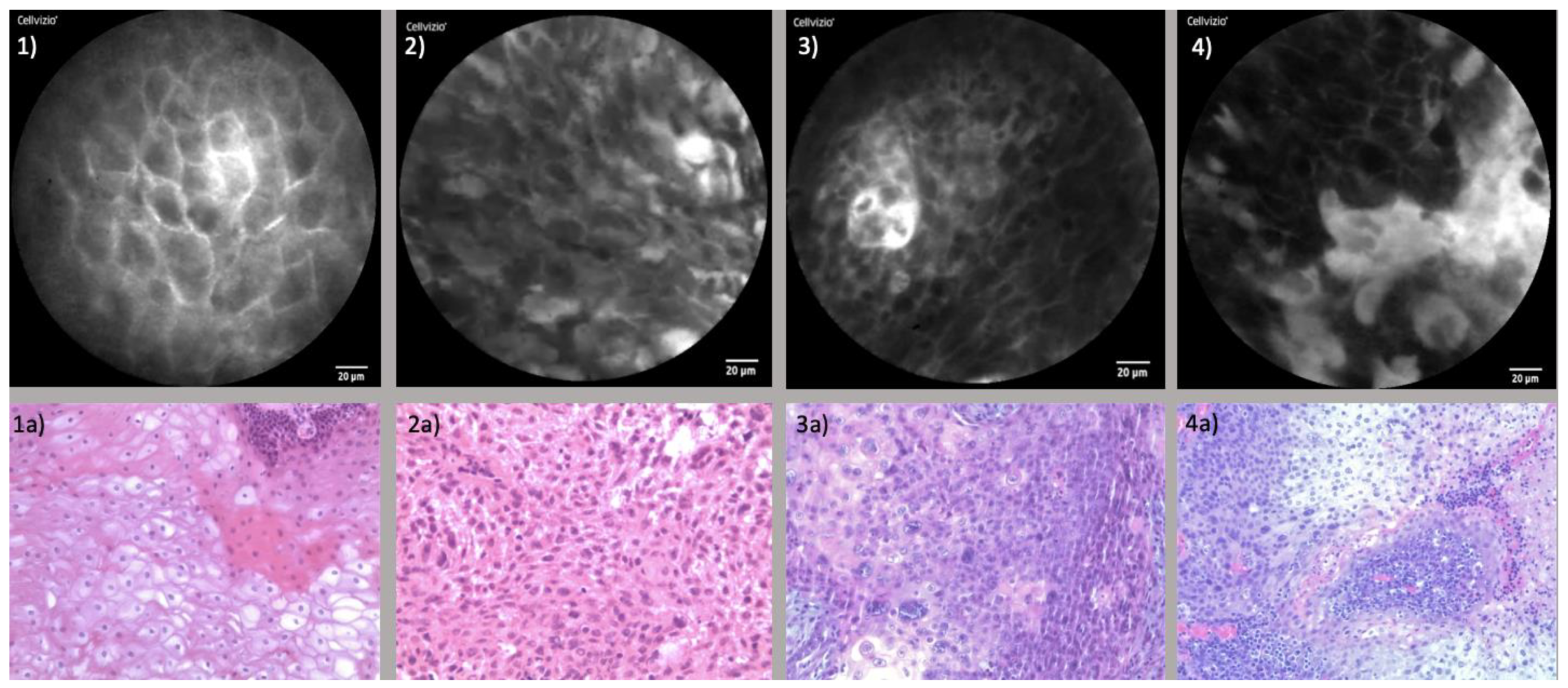 Diagnostics 13 03081 g003