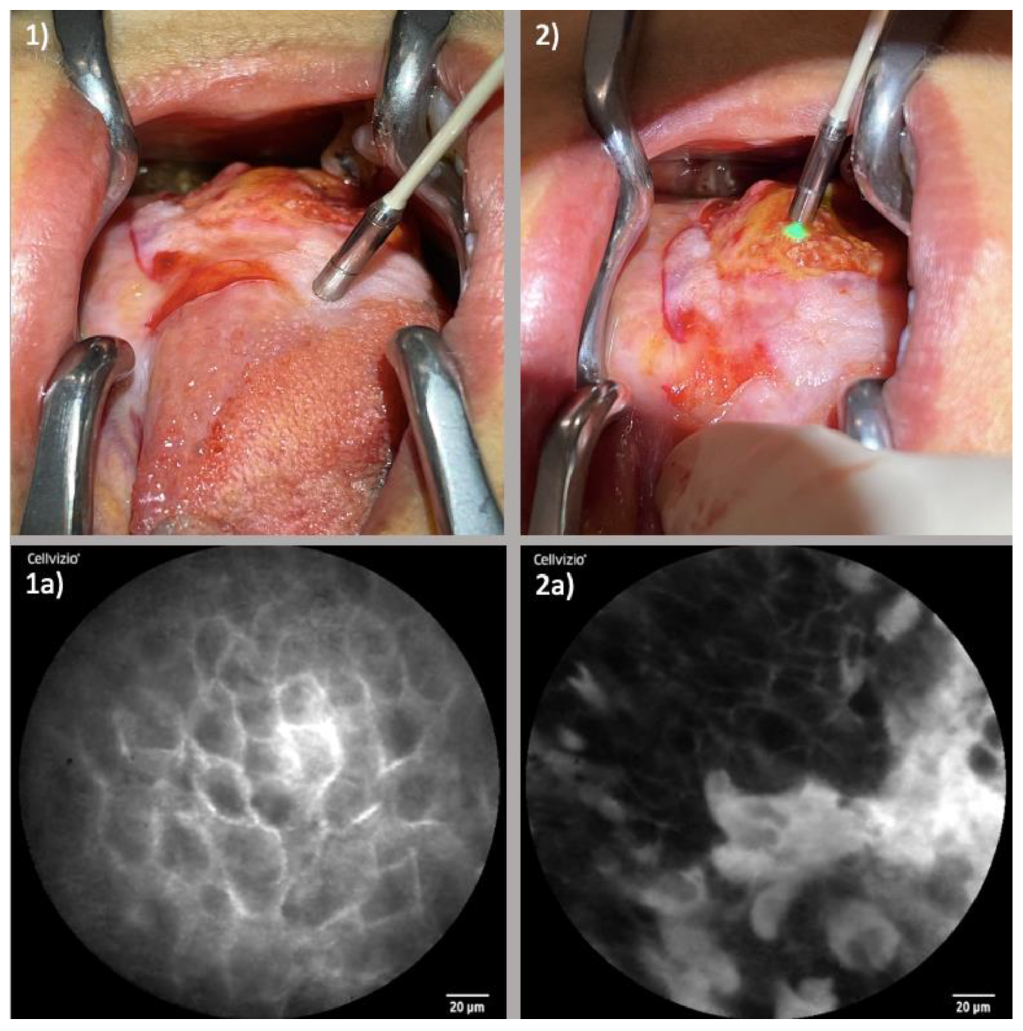 Diagnostics 13 03081 g006