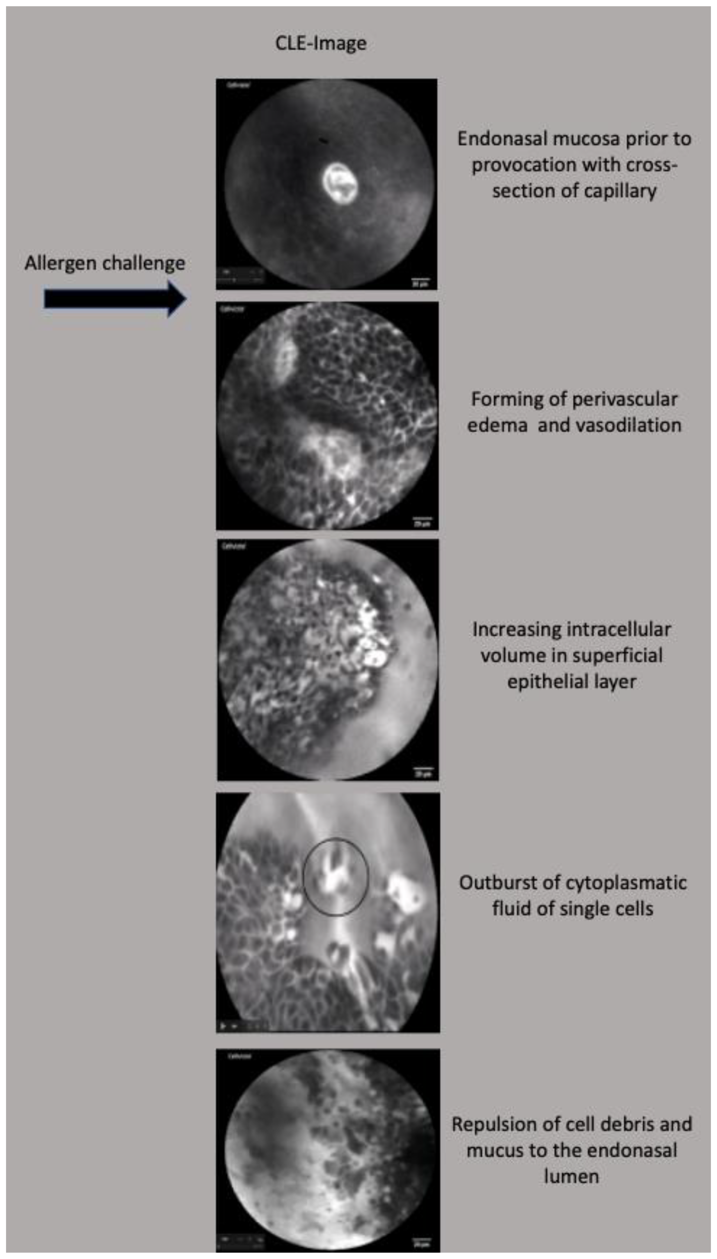 Diagnostics 13 03081 g007
