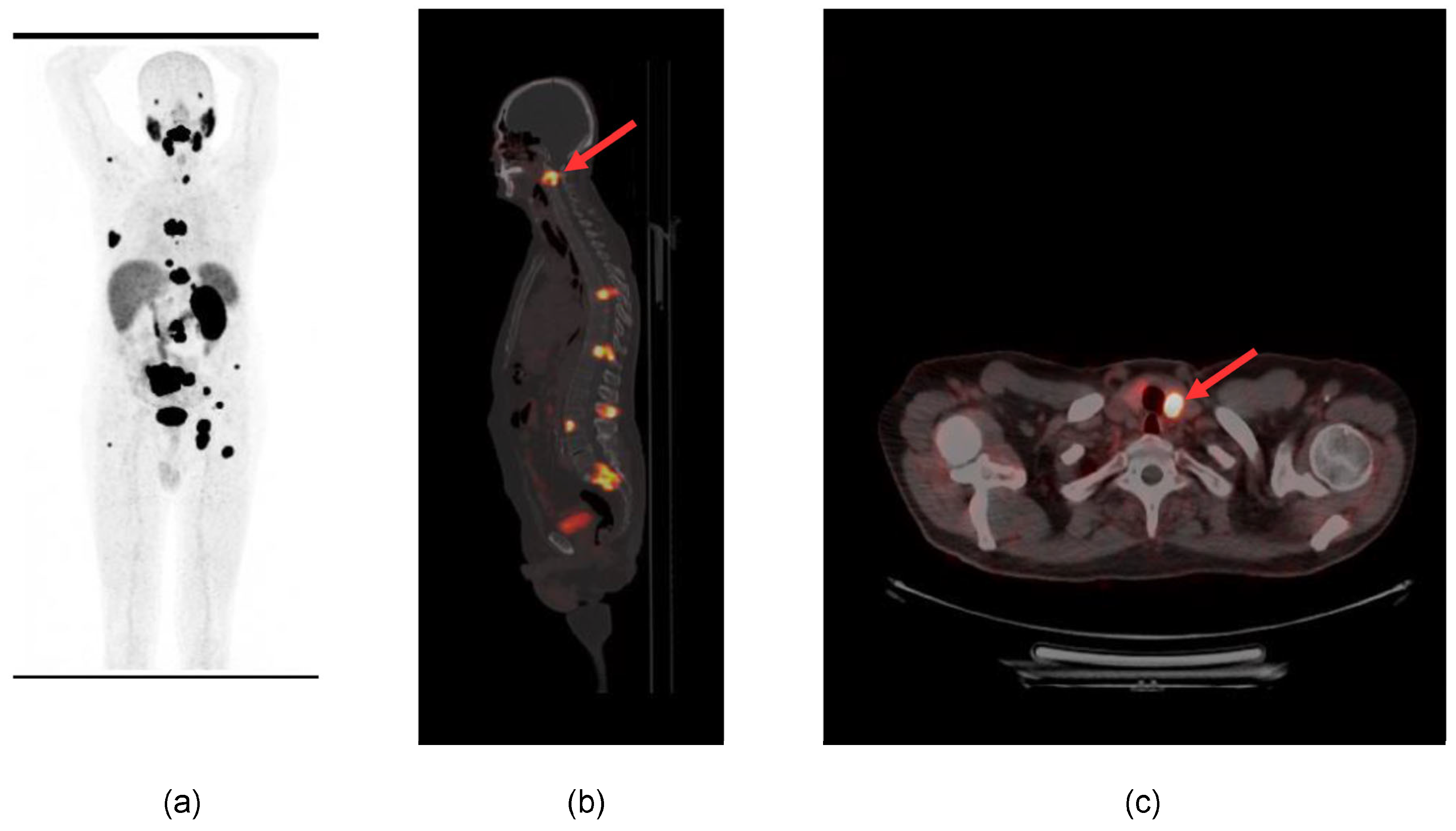 Diagnostics 13 03082 g001