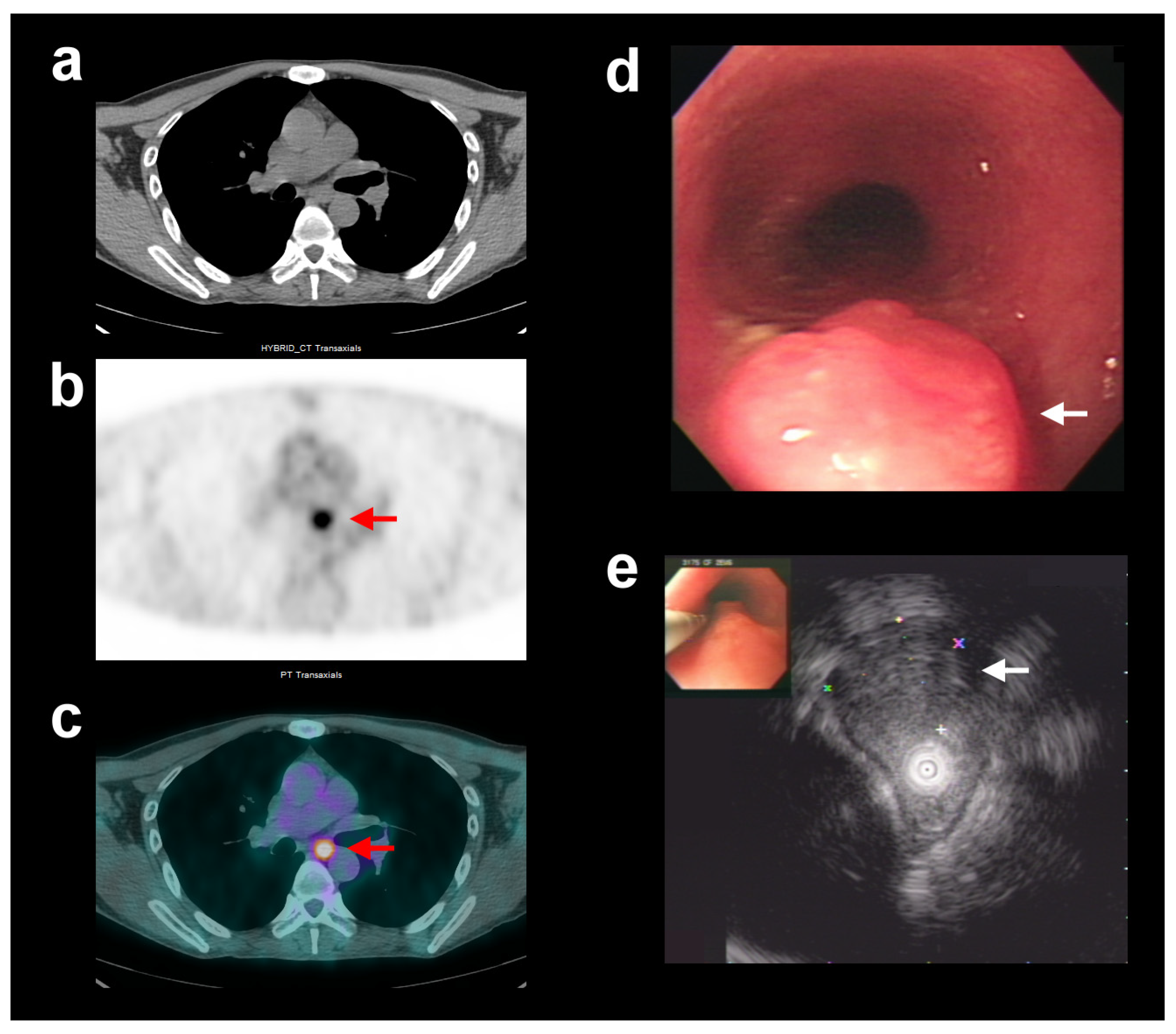 Diagnostics 13 03083 g001 Diagnostics 13 03083 g001