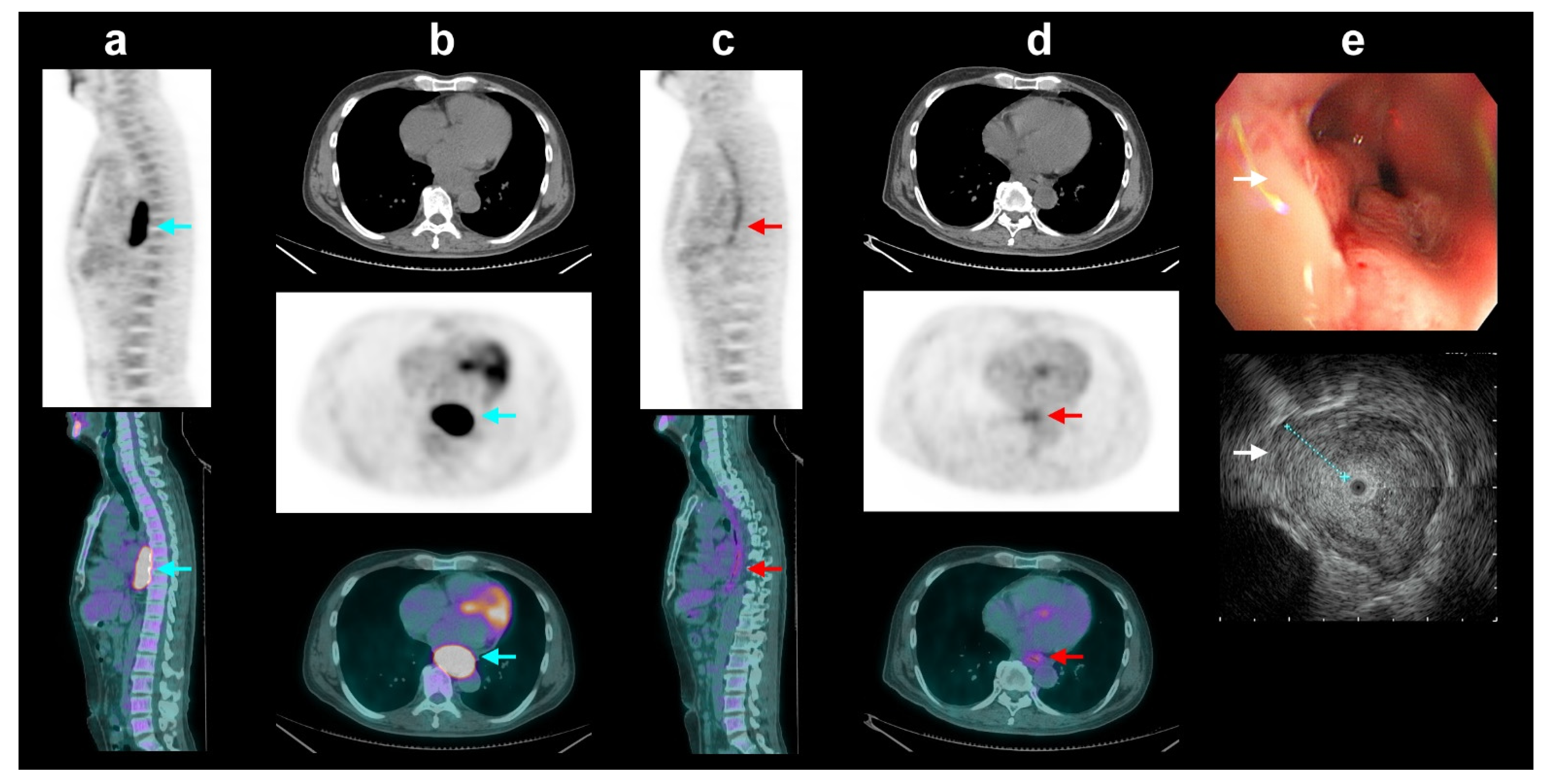 Diagnostics 13 03083 g002 Diagnostics 13 03083 g002