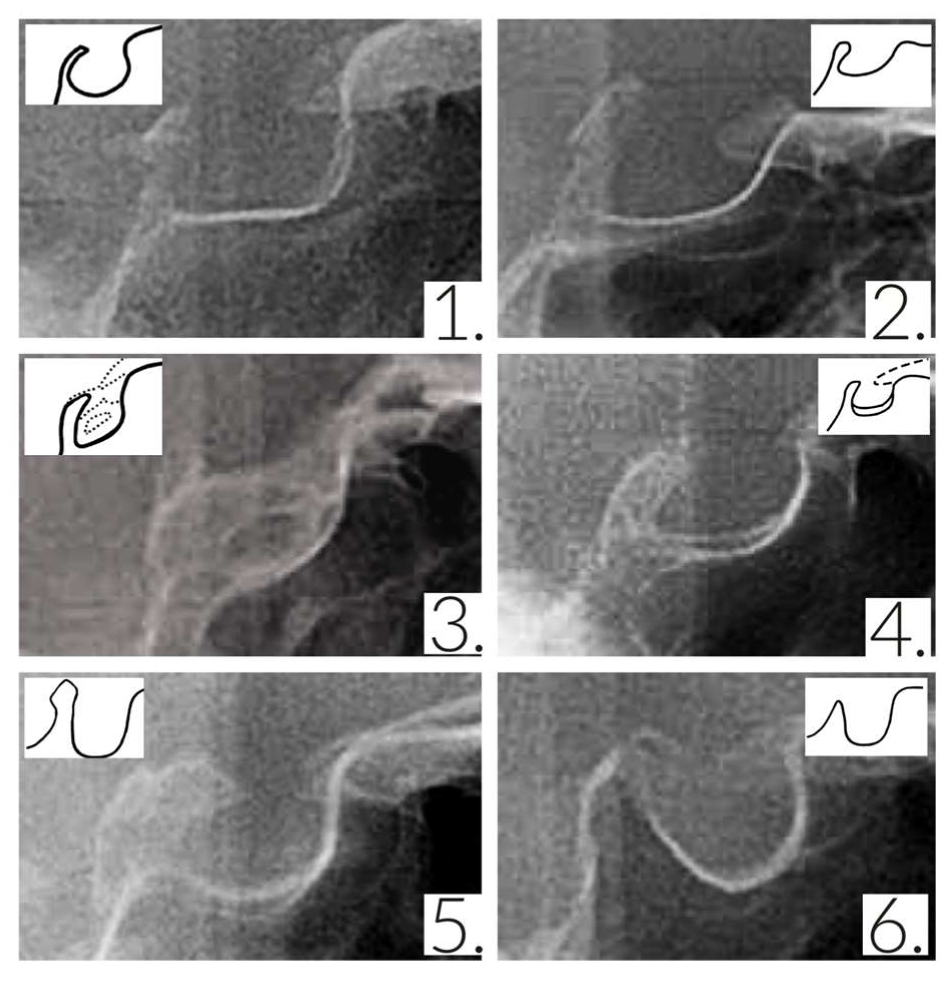 Diagnostics 13 03088 g001 Diagnostics 13 03088 g001