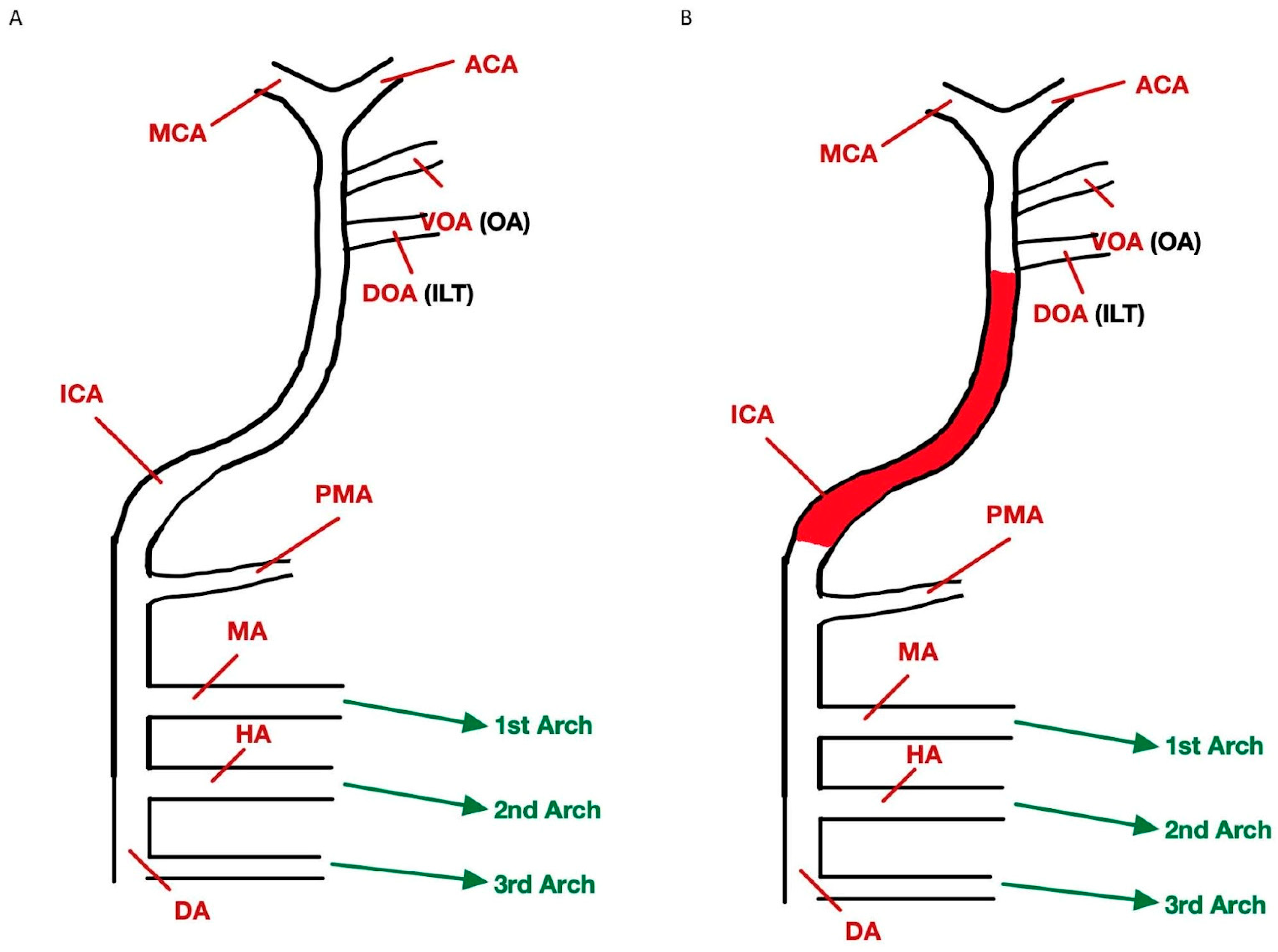 Diagnostics 13 03089 g002