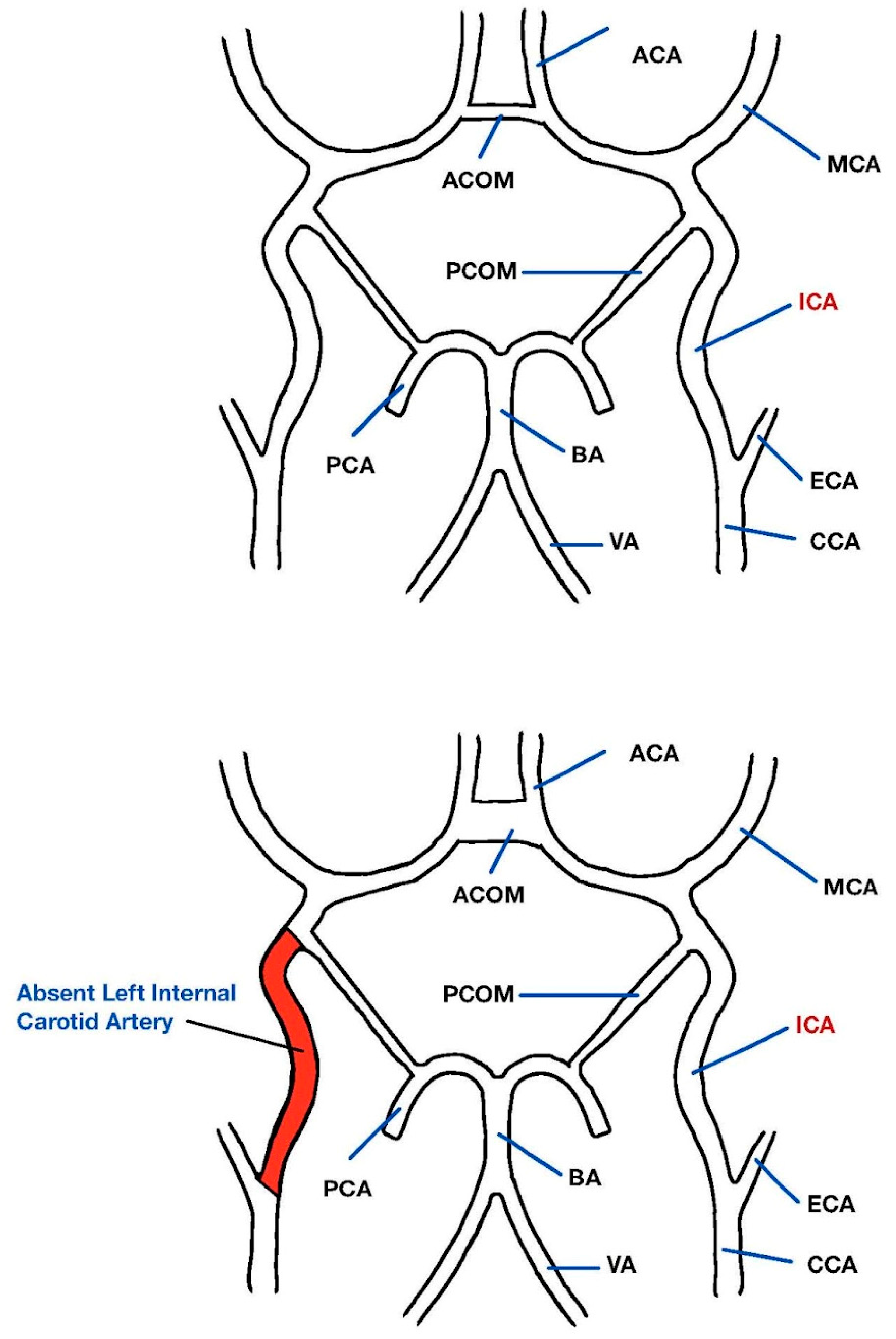 Diagnostics 13 03089 g003