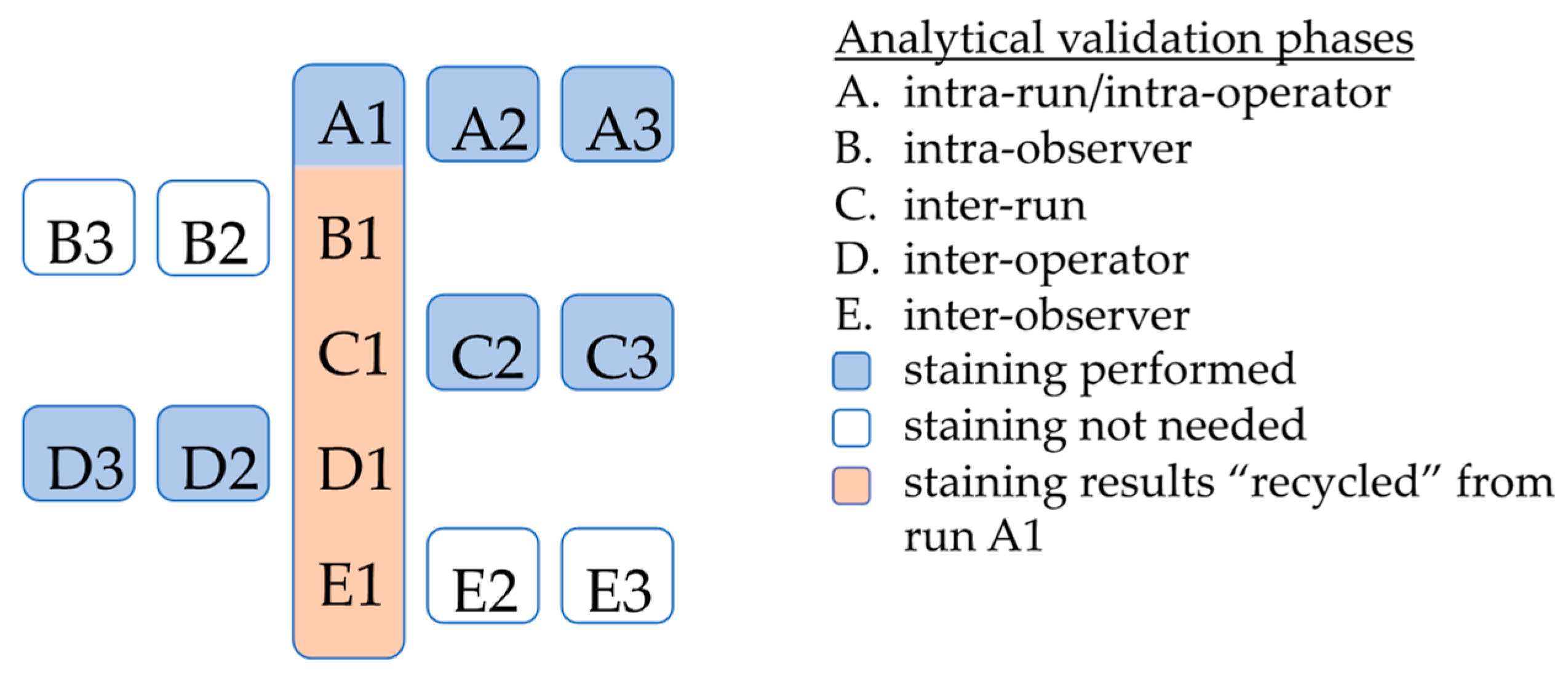 Diagnostics 13 03096 g003