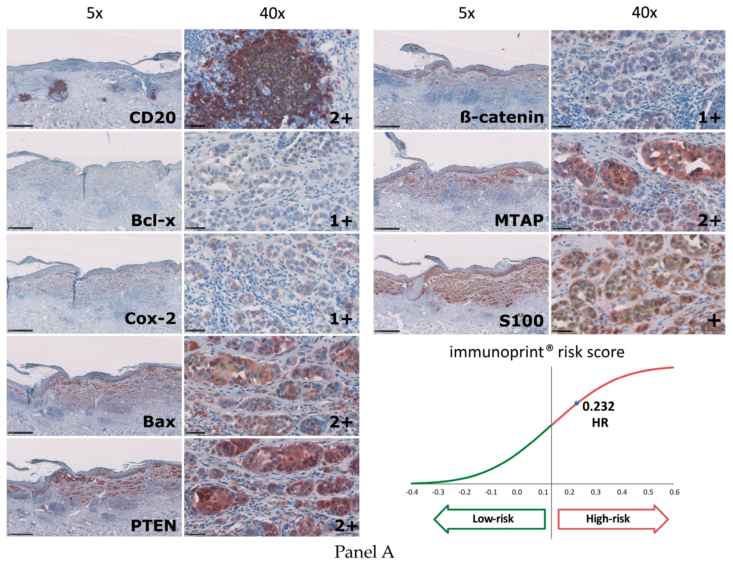 Diagnostics 13 03096 g004a