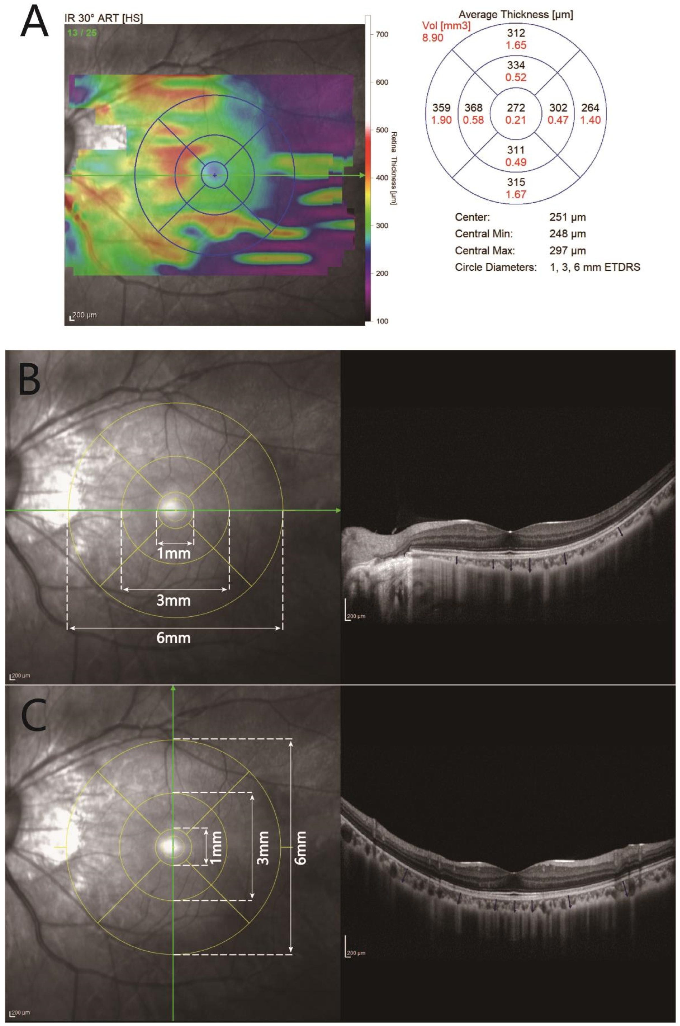 Diagnostics 13 03097 g001