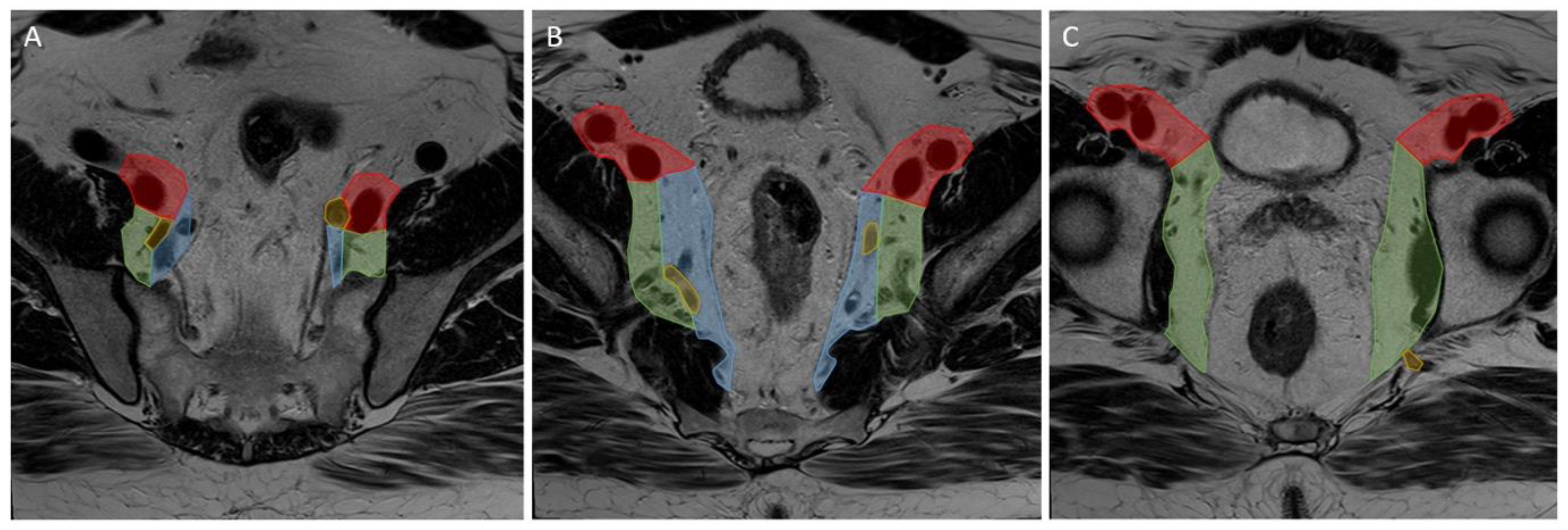 Diagnostics 13 03099 g002